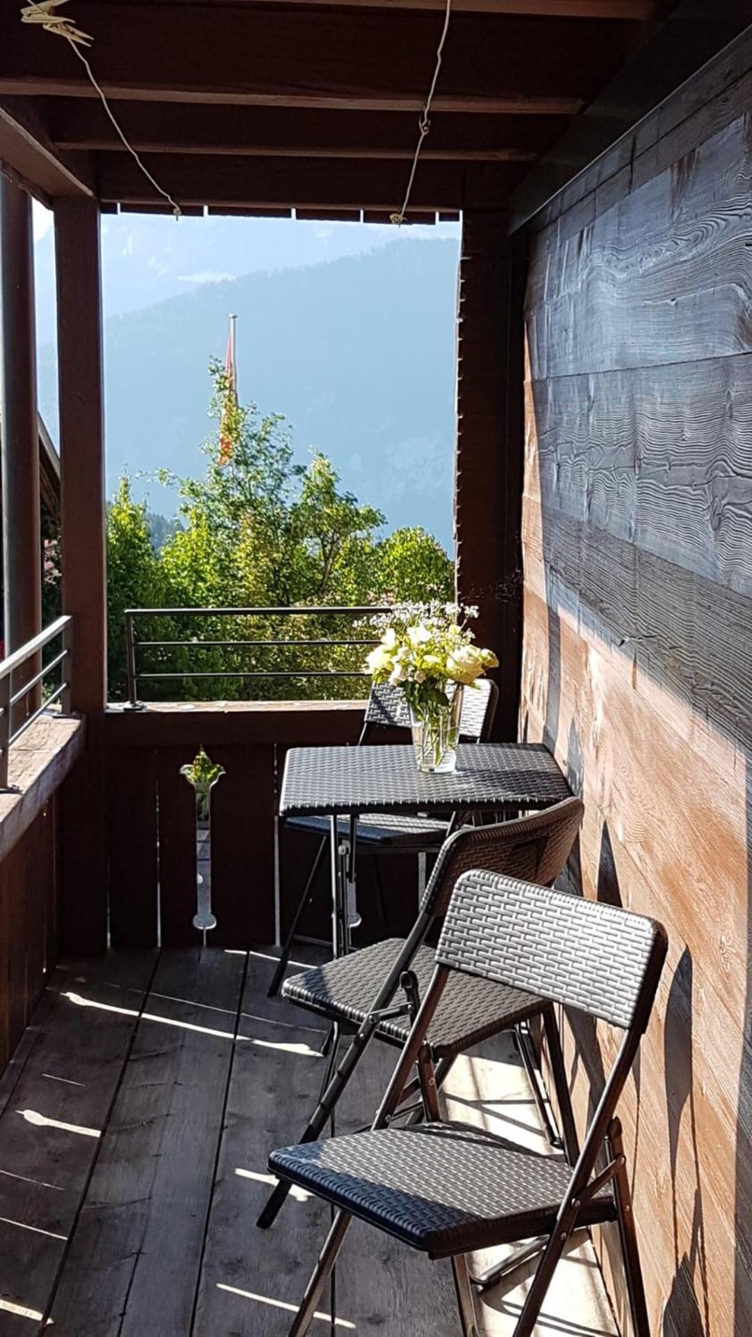 App. Seeblick Top of Interlaken view 3