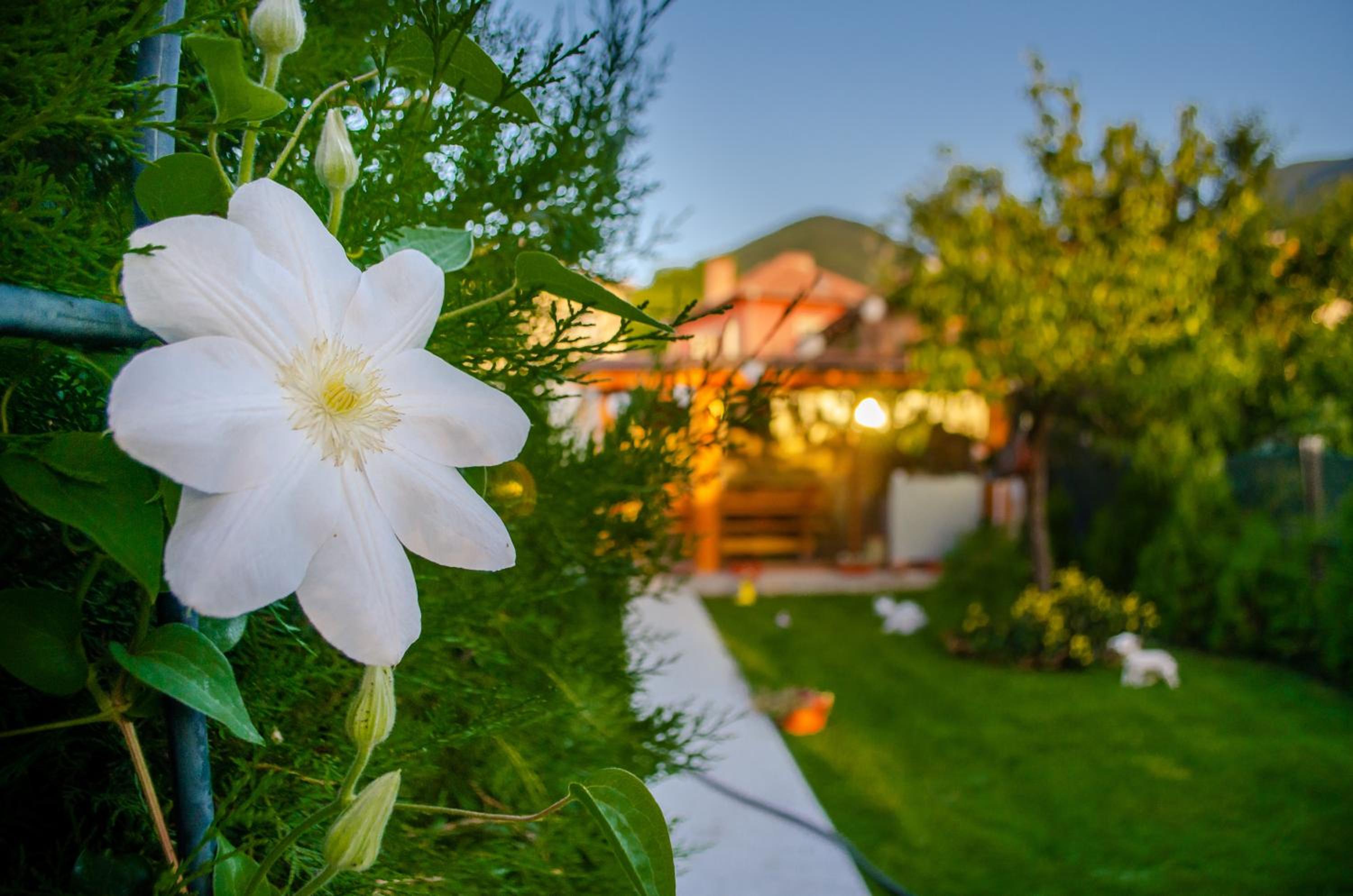 Guest House Vasilena Самостоятелно наемане FREE PARKING
