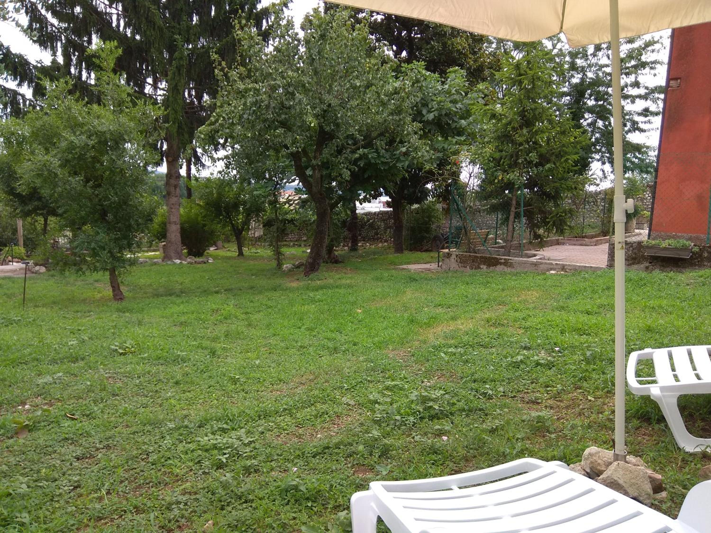 Photo 49