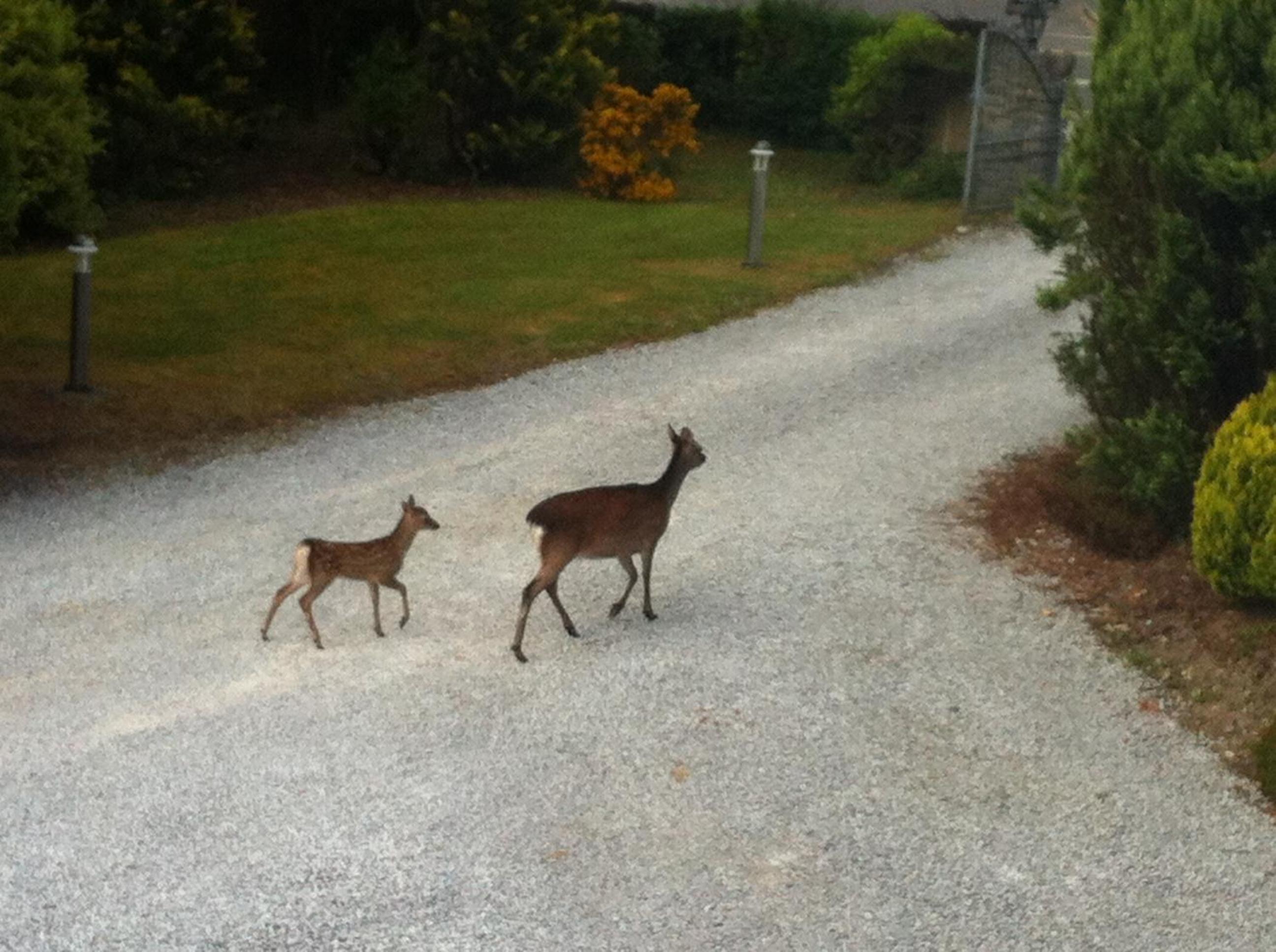 An Bruachan B&B