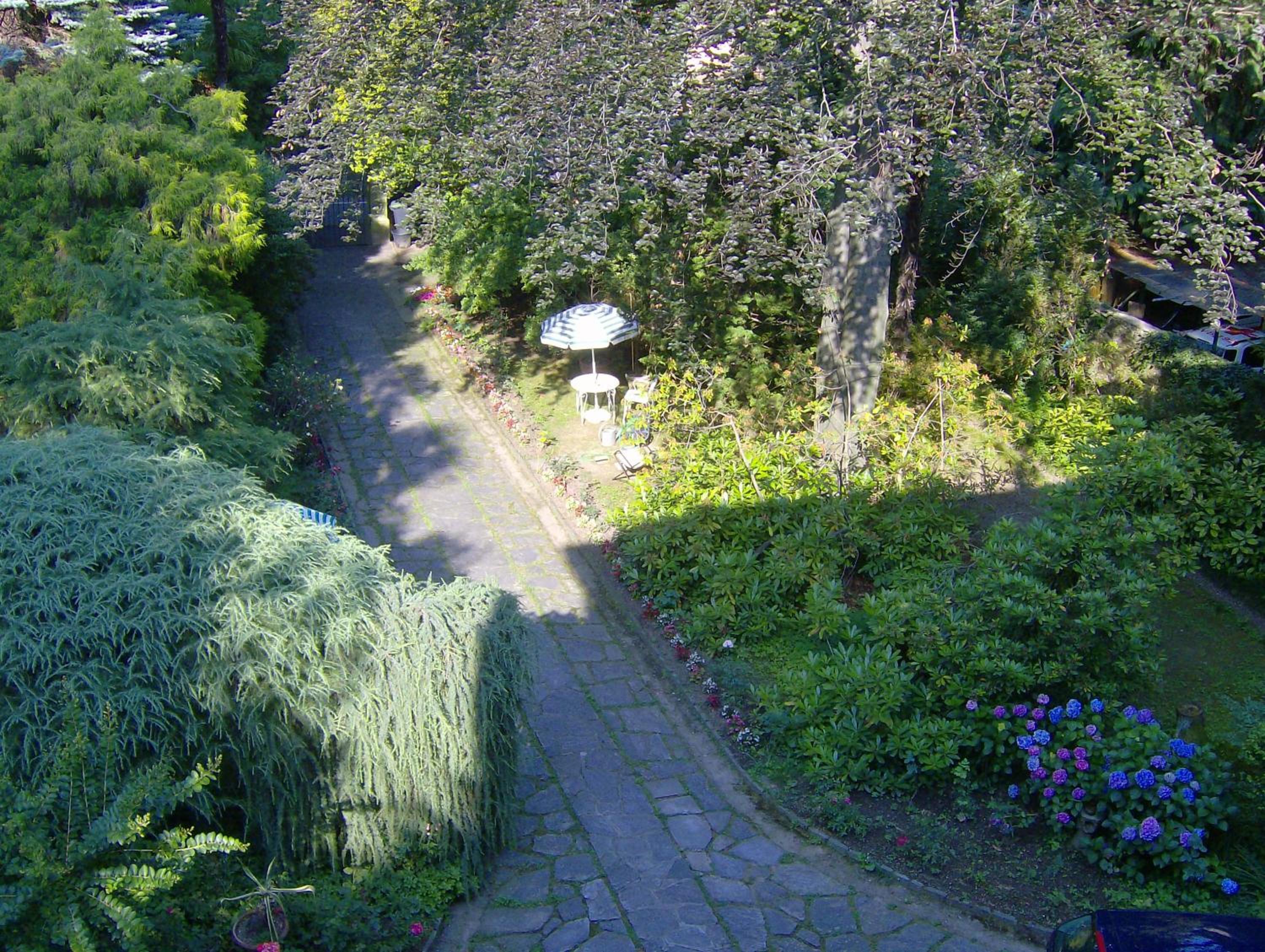 Photo 49