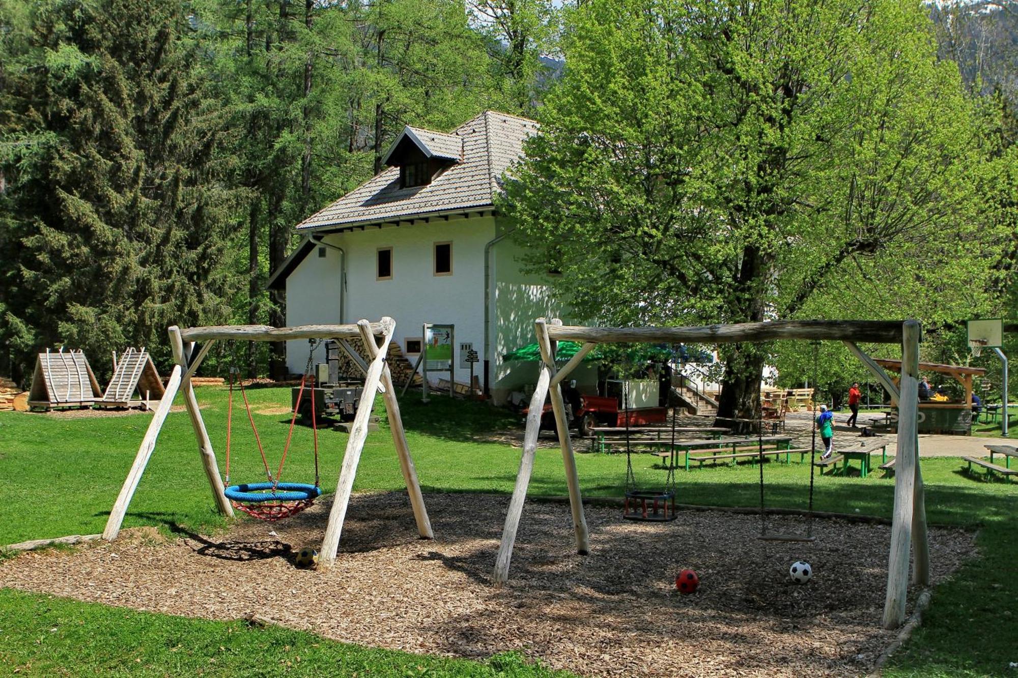 Photo 12