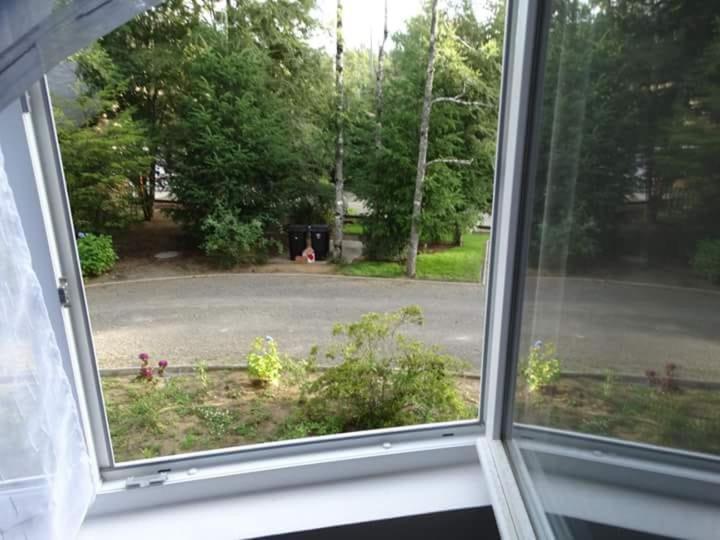 Condominio Pucon Andino