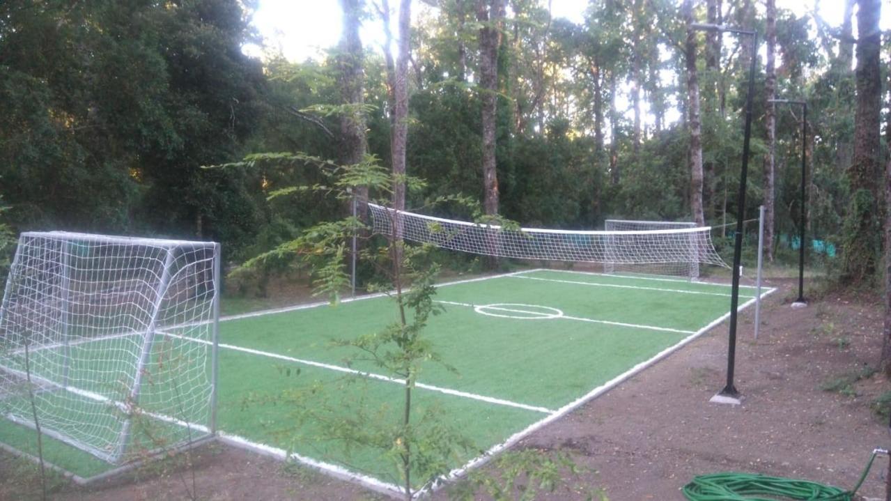 Condominio Pucon Andino