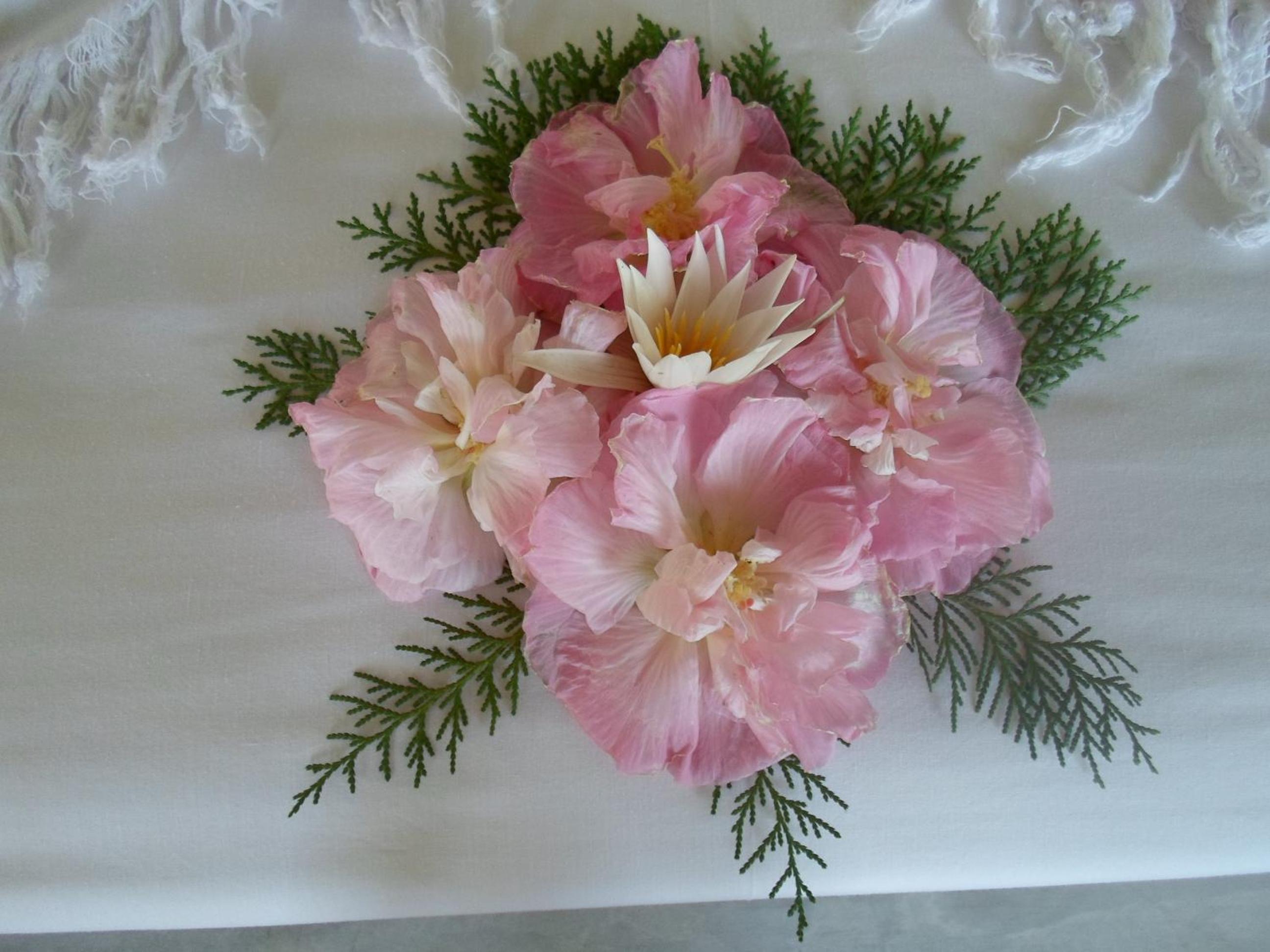 Photo 49