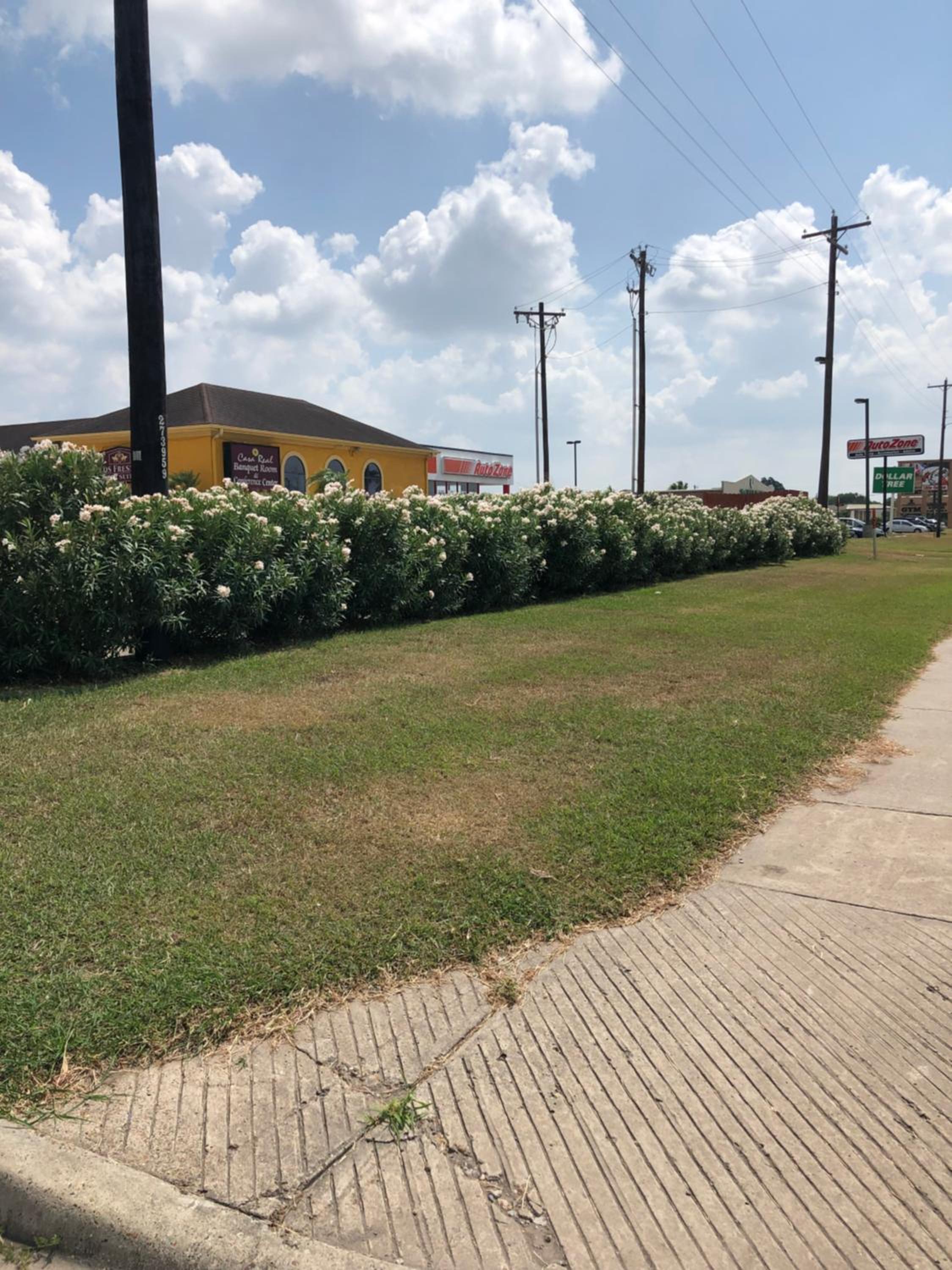 Los Fresnos Inn and Suites