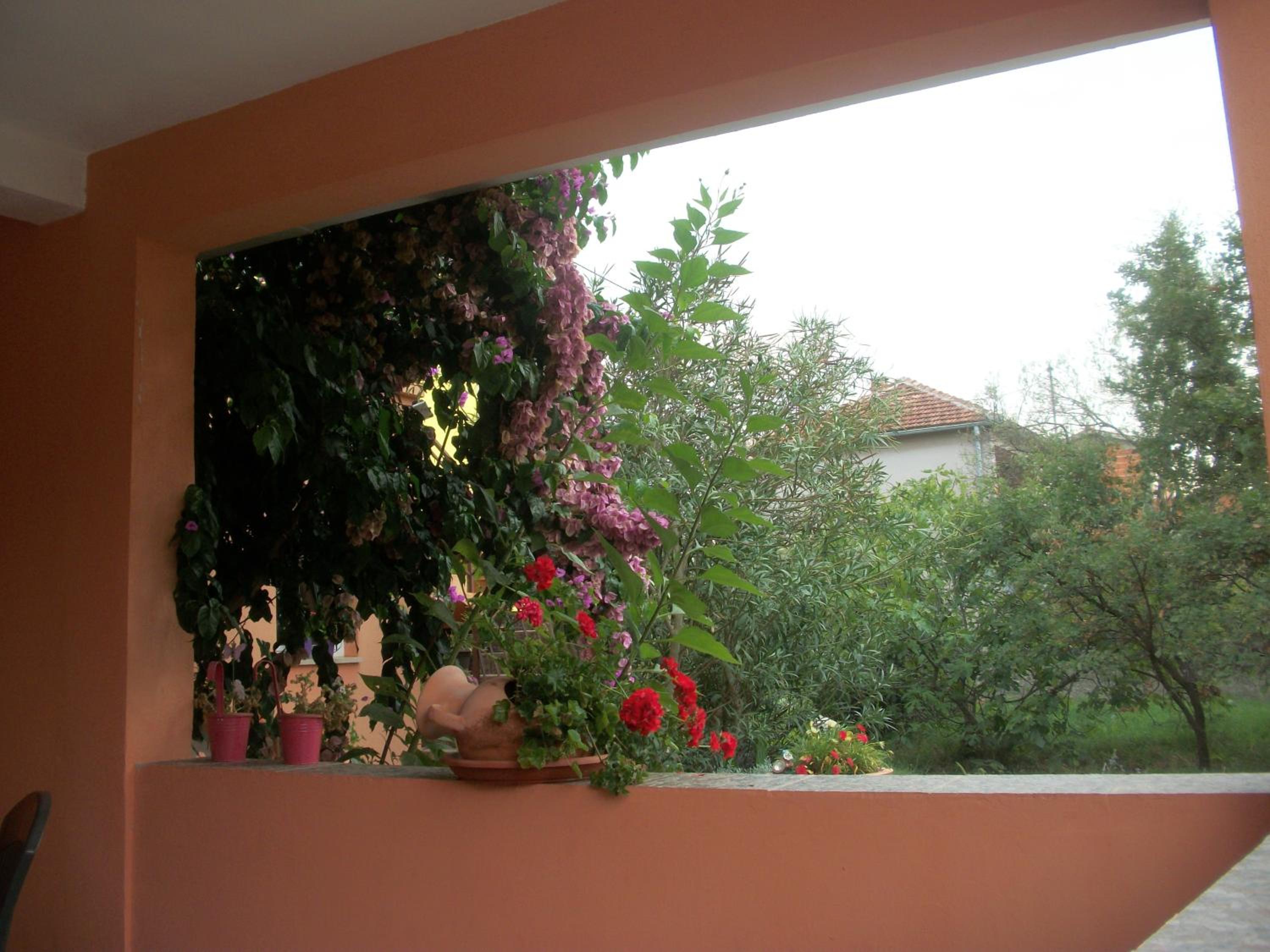Photo 44