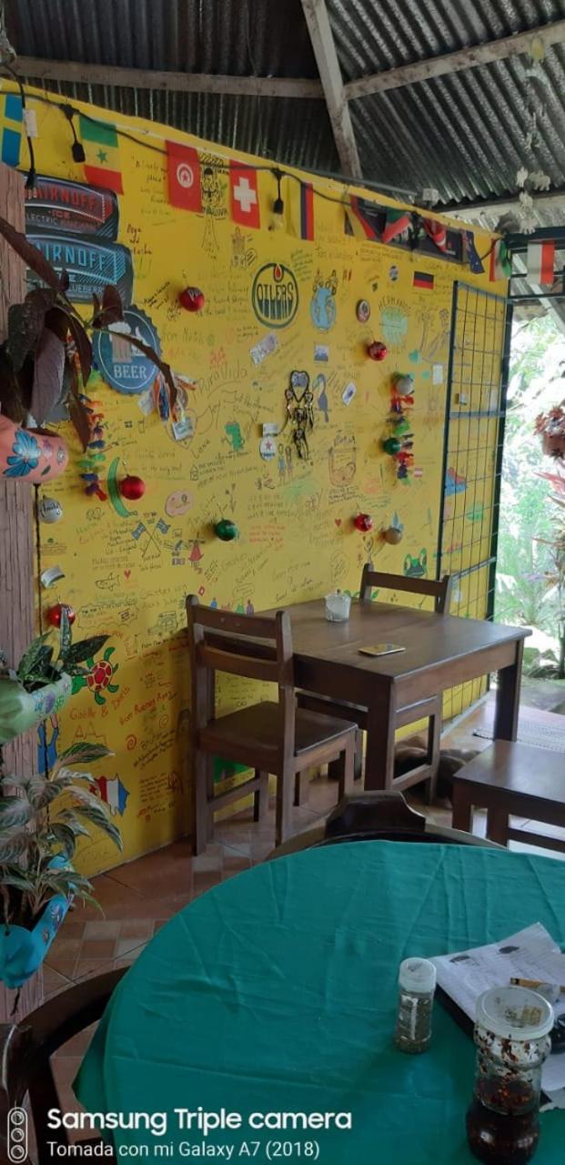 Hostal y cabinas anita-and rafting tour!
