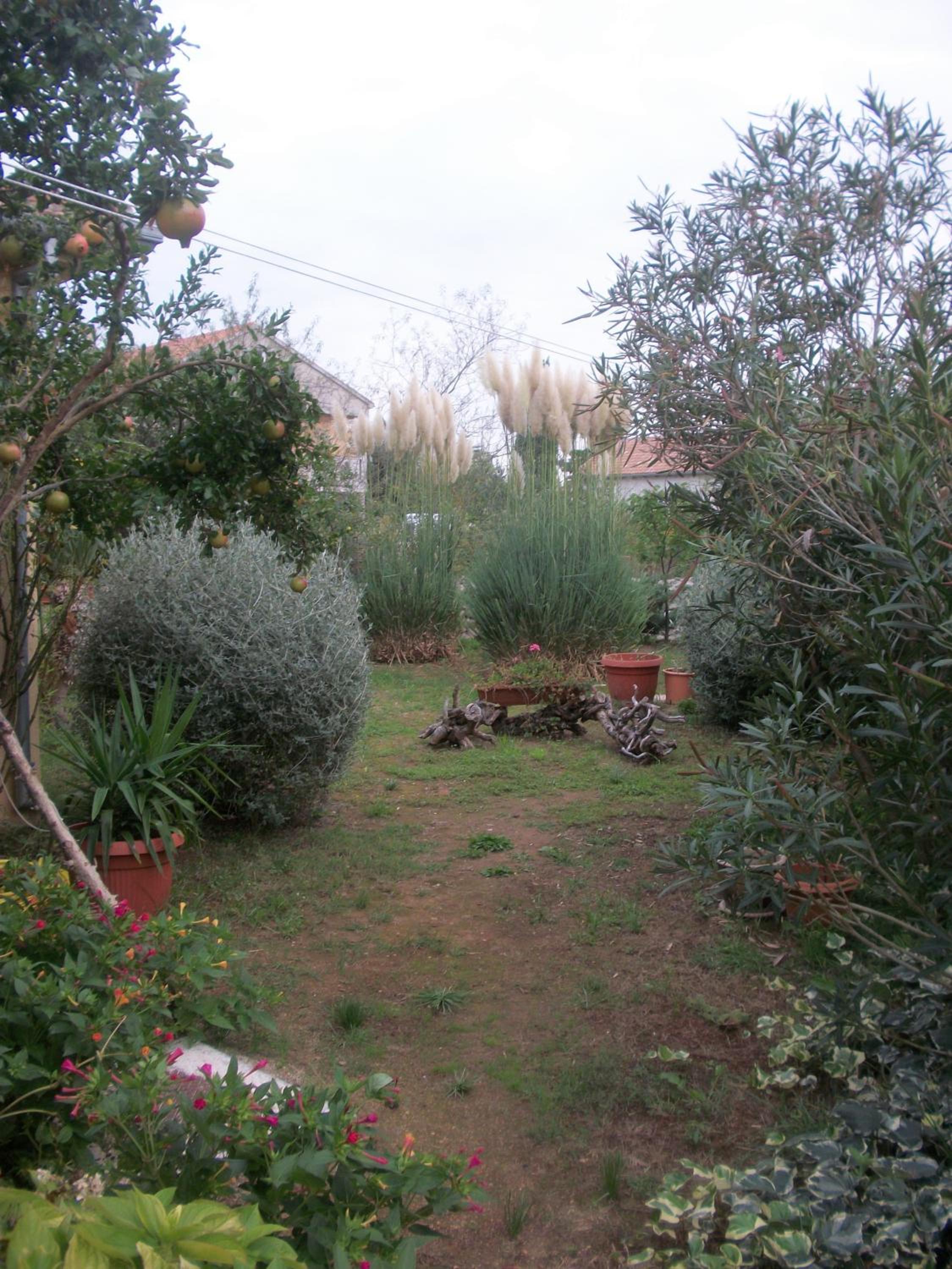 Photo 56