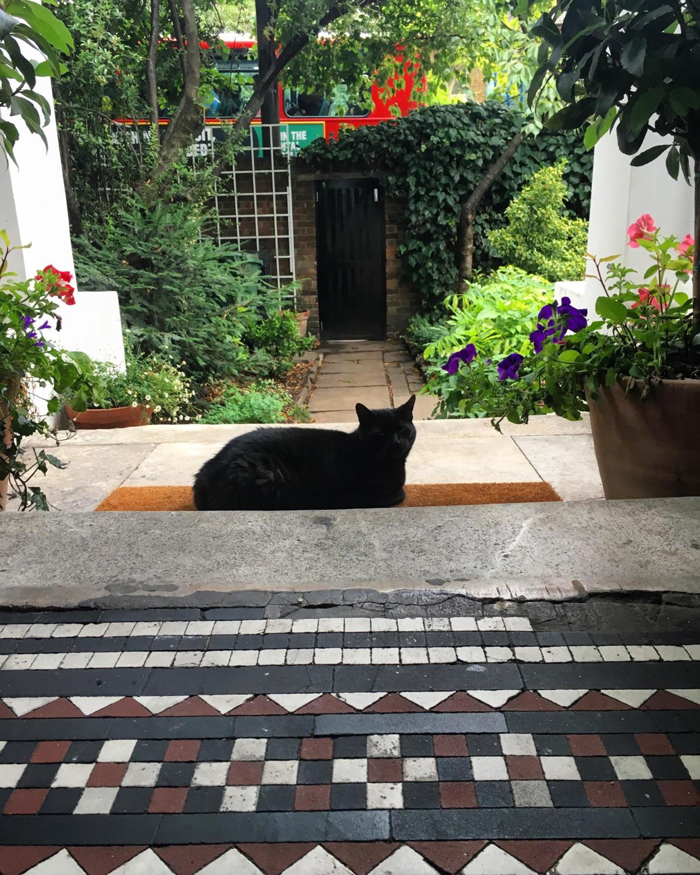 garden