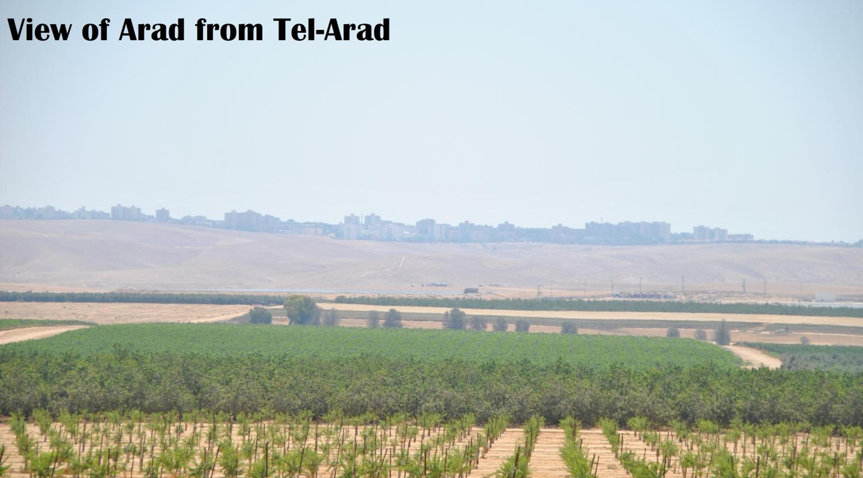 Photo 55