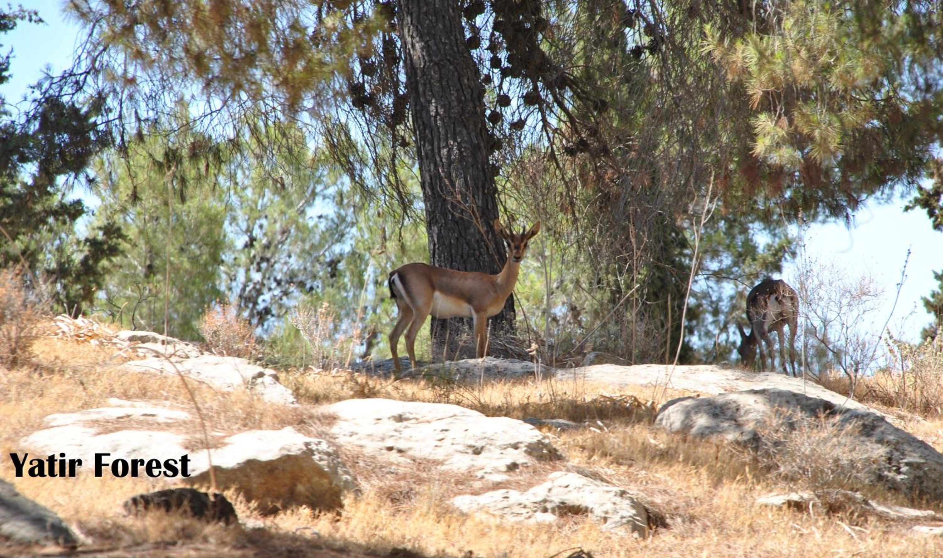 Photo 56