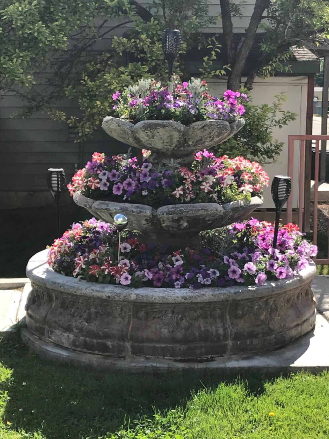 Blue Spruce Inn-Meeker, Colorado, Billede 13