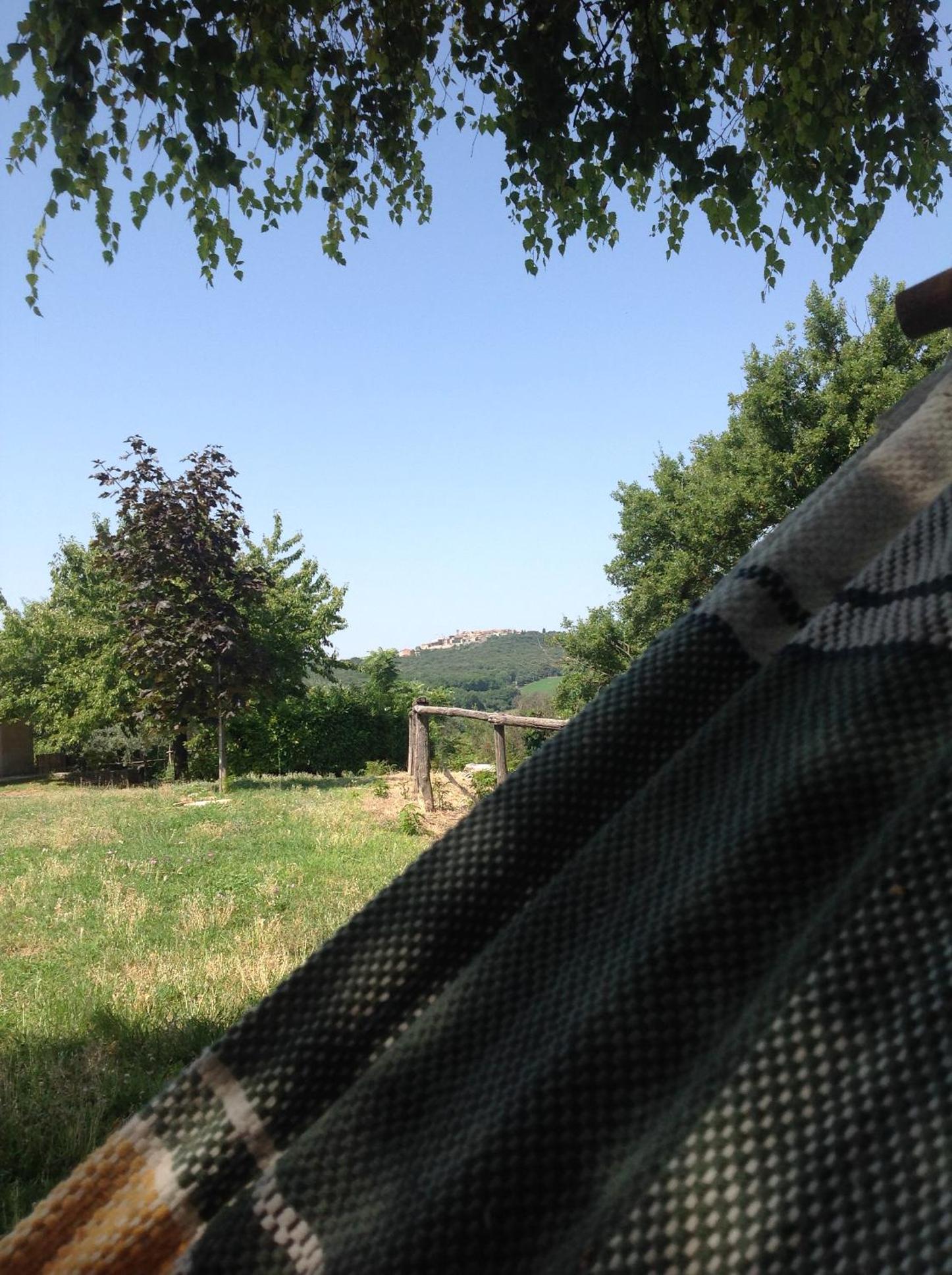 Photo 43
