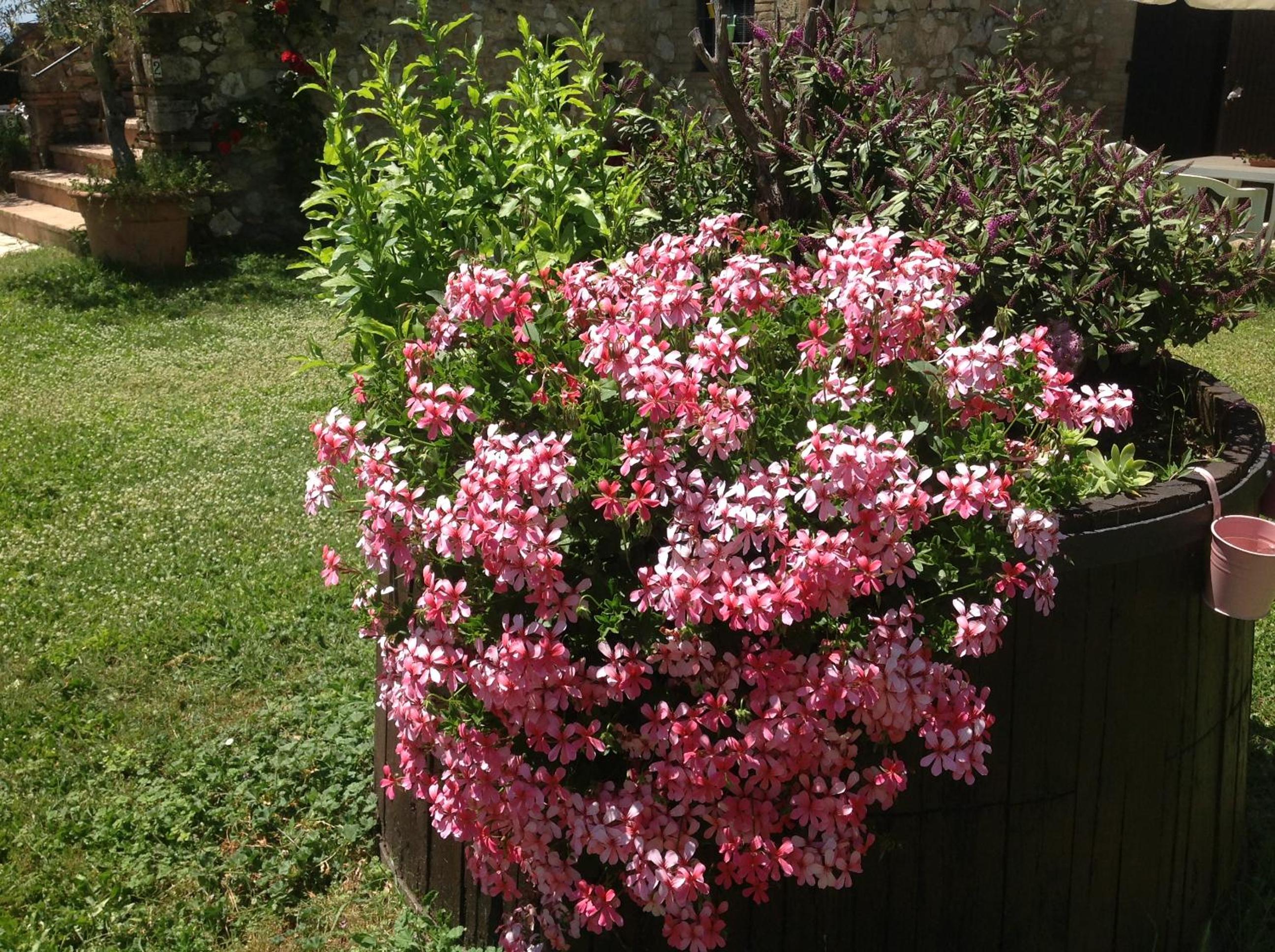 Photo 42