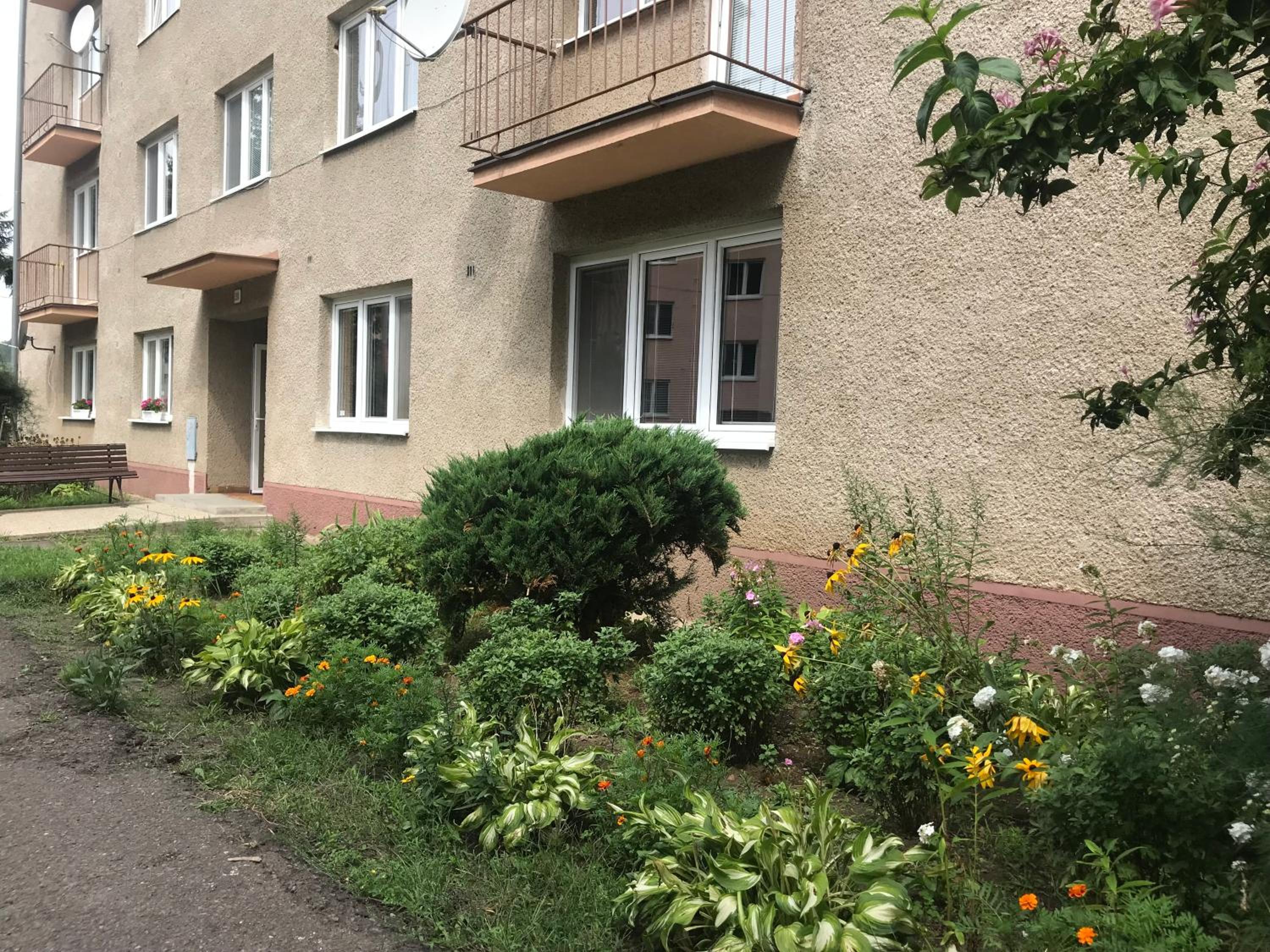 Photo 15