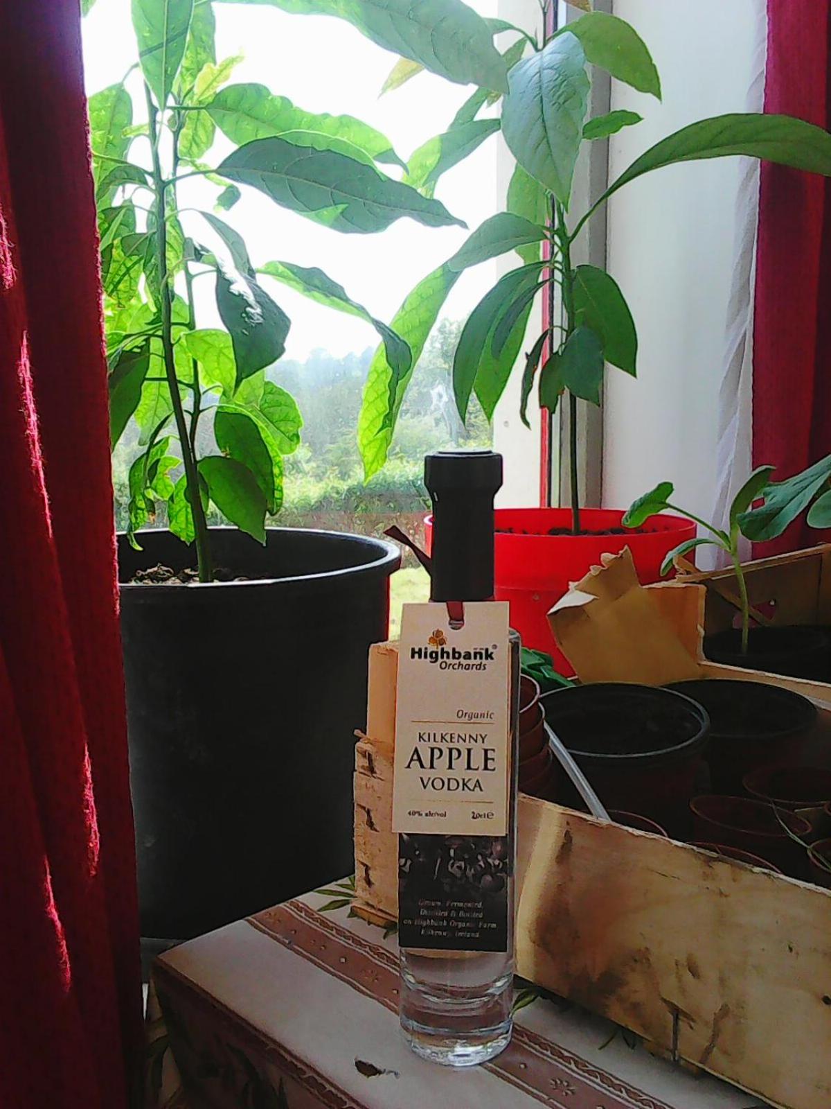 Kilkenny Vacations - Harmony Hall Veganic - Property Image 4