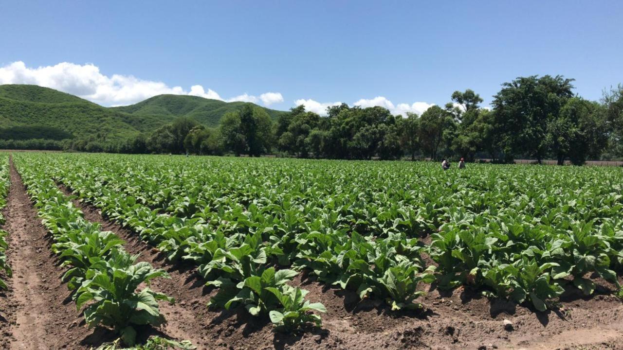 Finca La Secundina