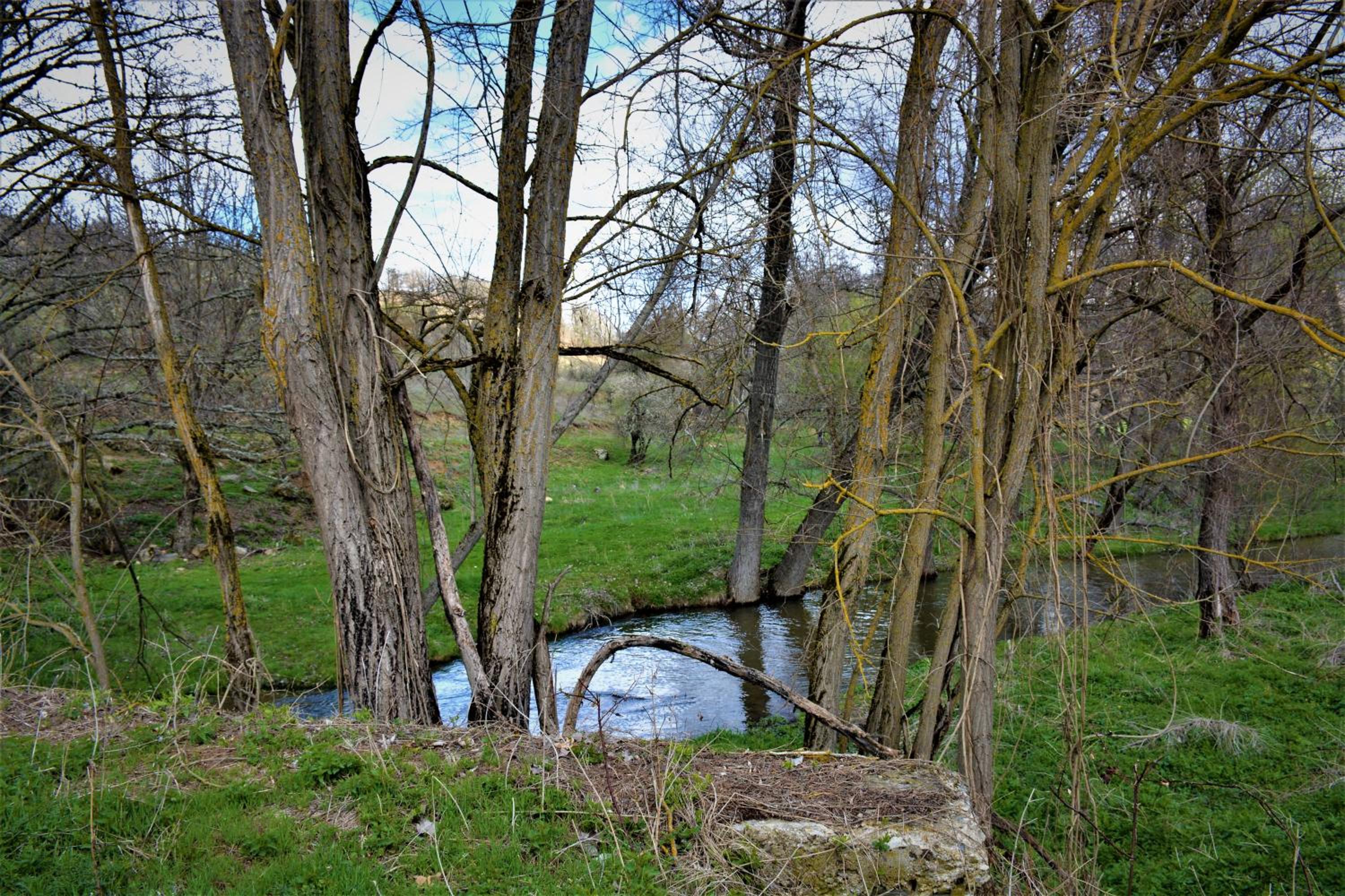 Photo 28