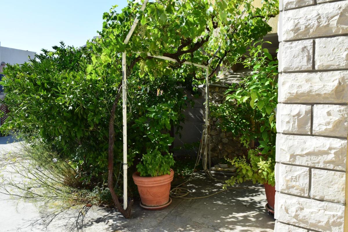 Photo 28