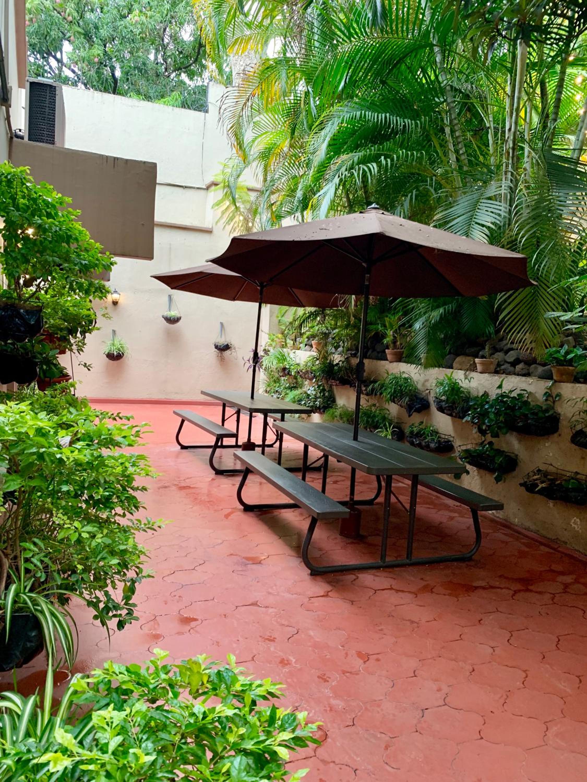 Palmira Hostel