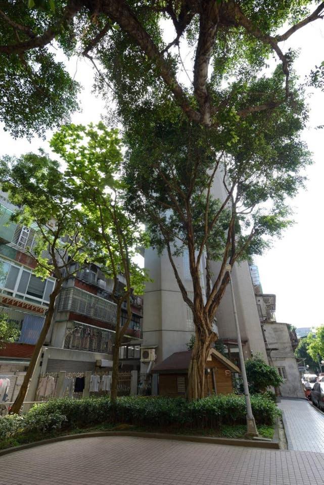 BV Taipei XinYi D
