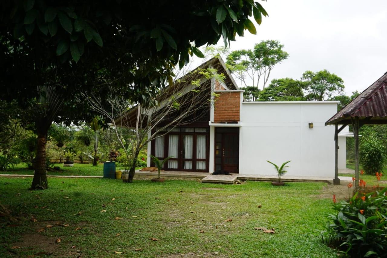 Photo 32