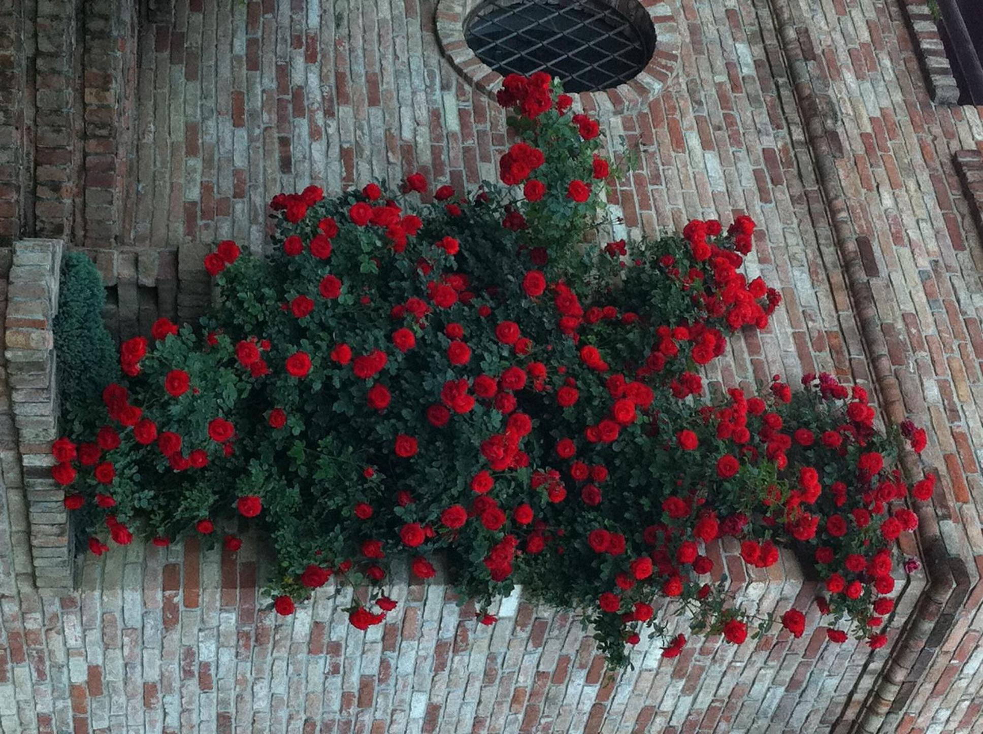 Photo 48