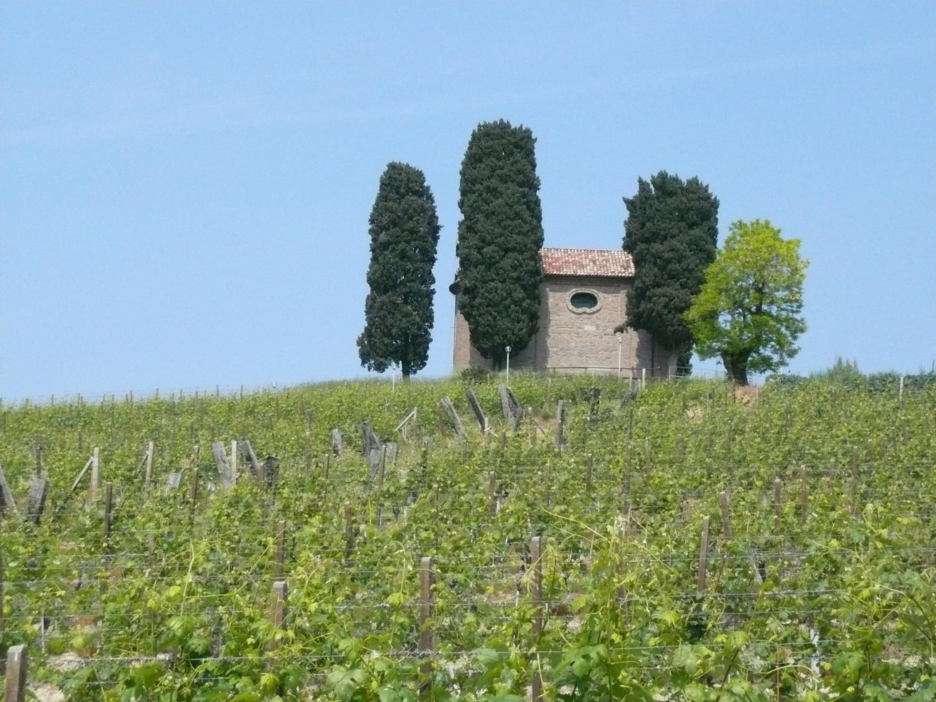 Photo 45