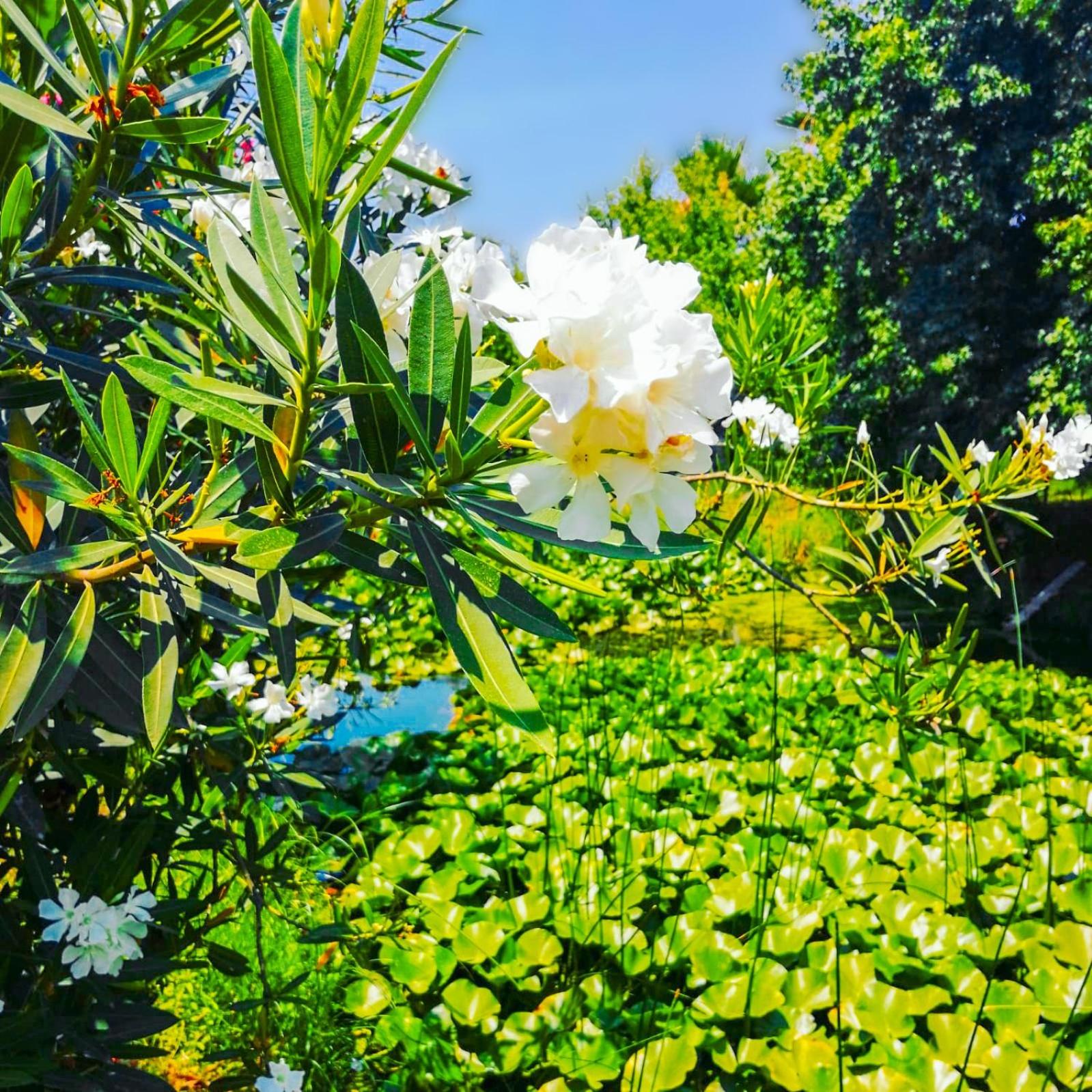 Villa Calis 1 - Image 37