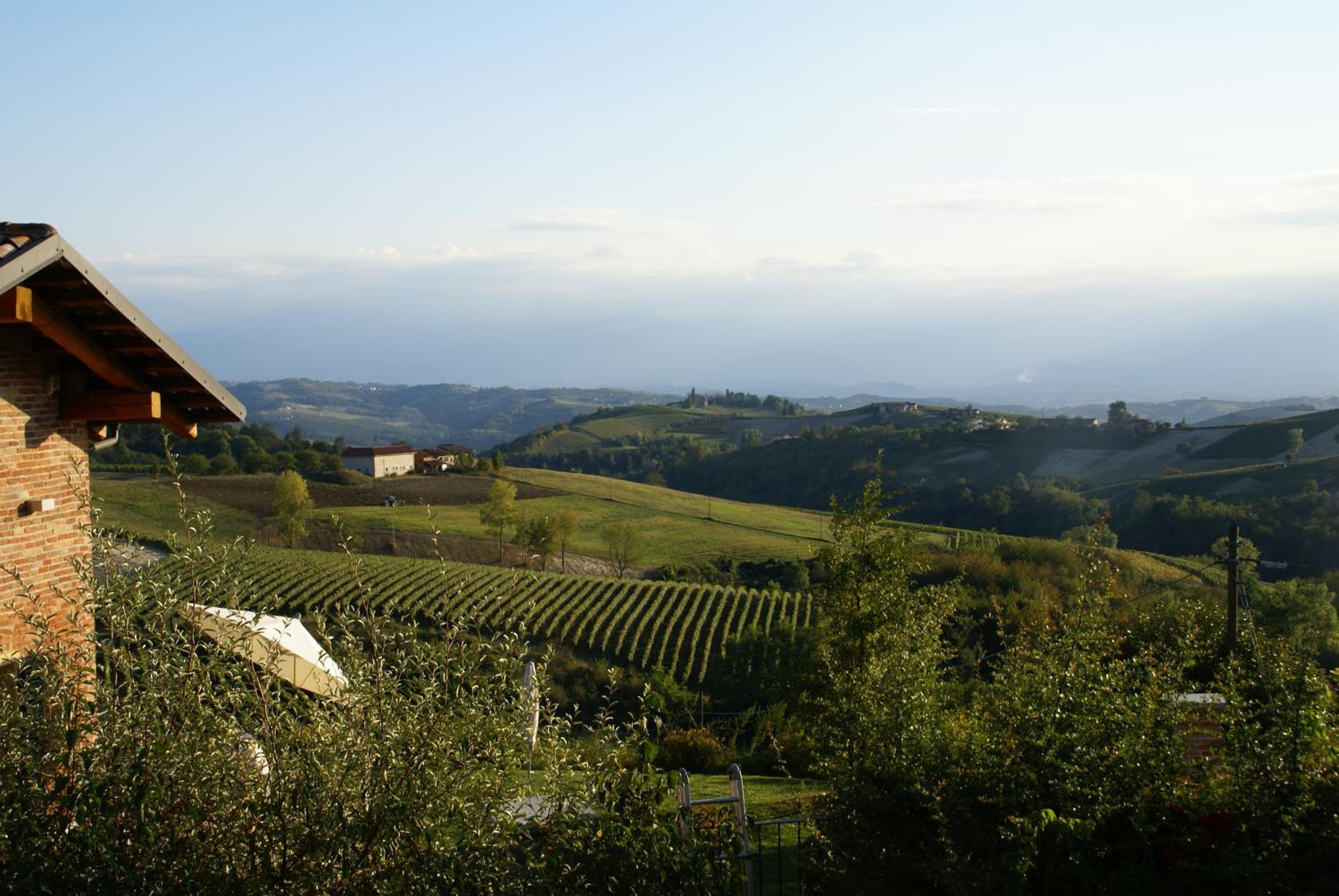 Bricco Torricella