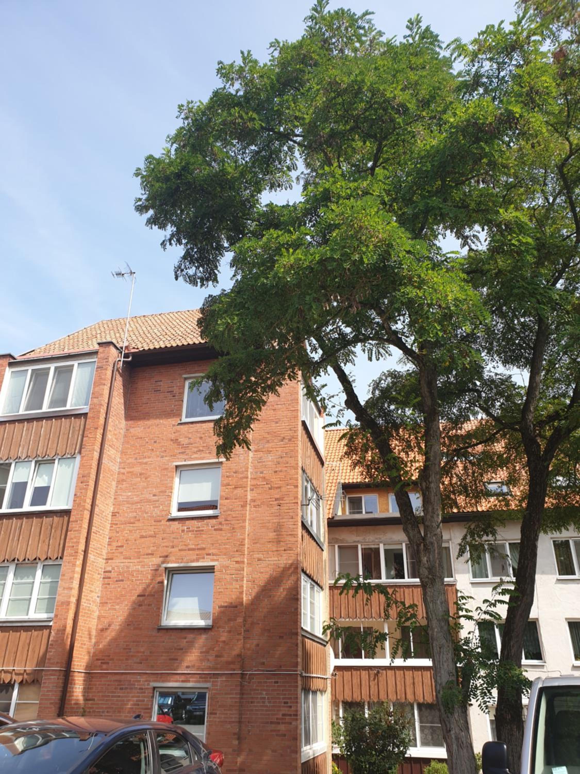 Apartamentai Taikos 10-36 Nida
