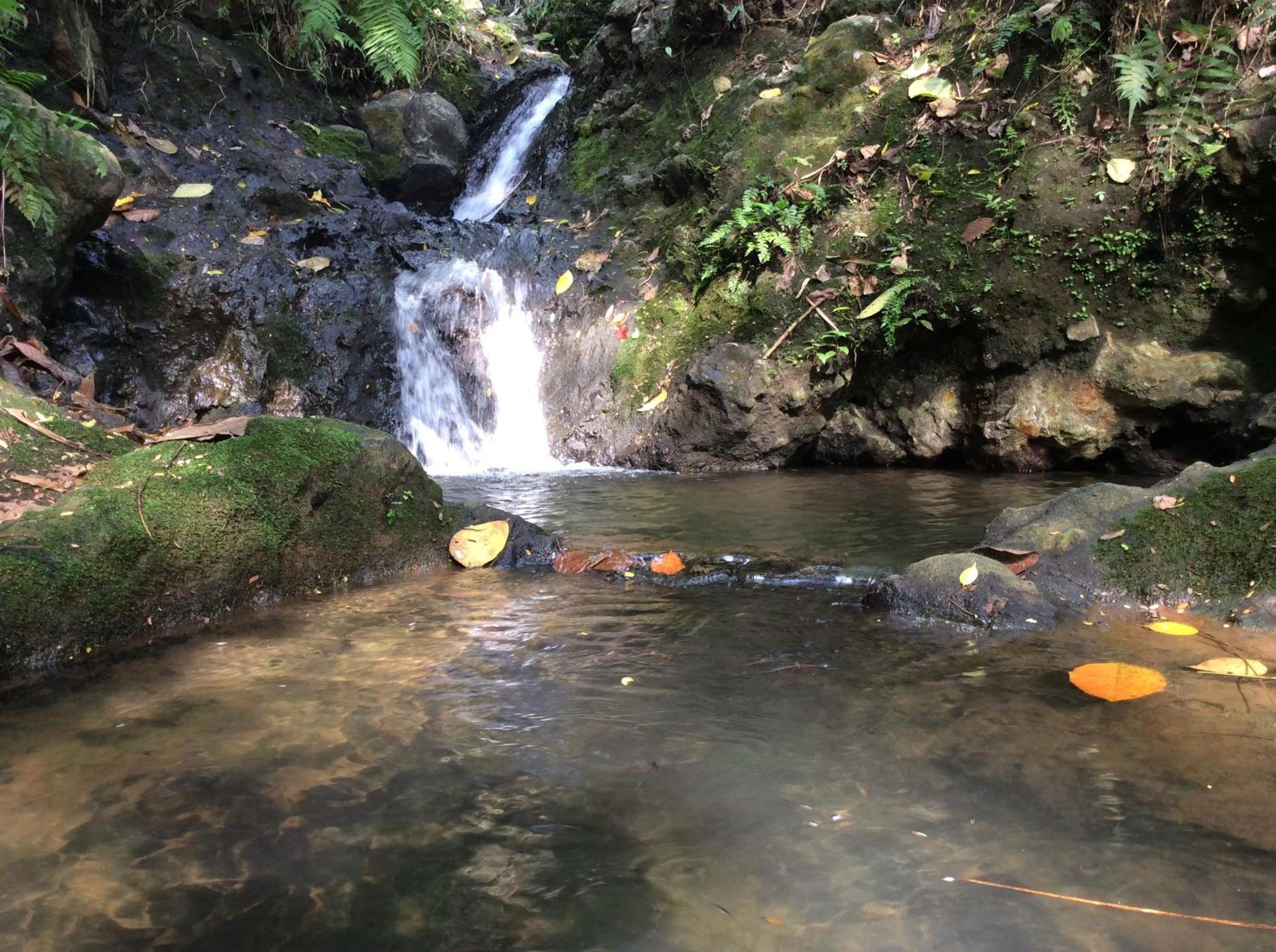 Natural Mystic Sanctuary