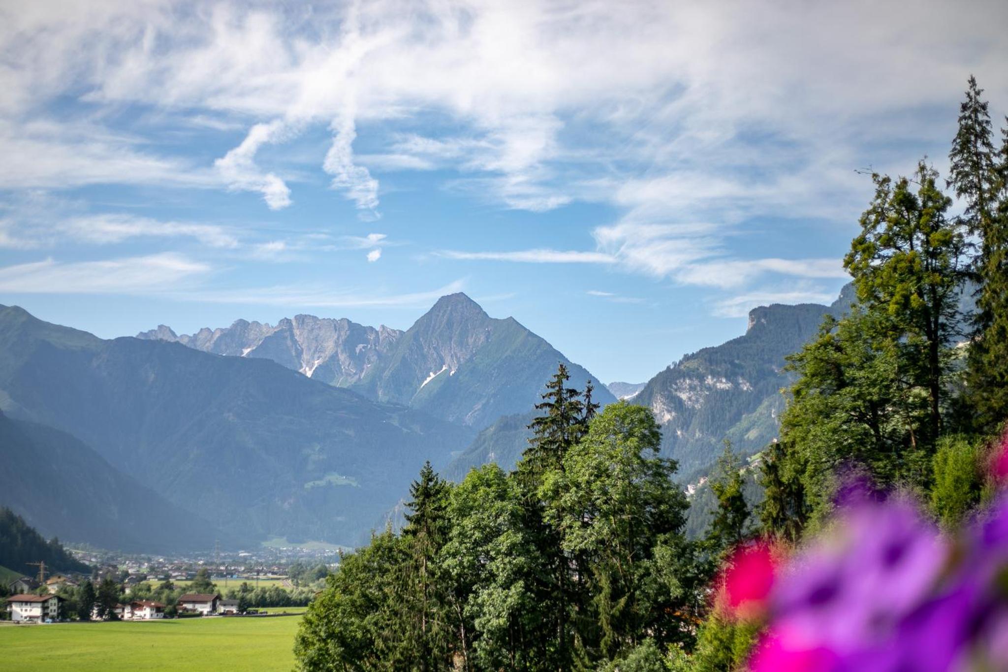 Landhaus Sonnblick view 4