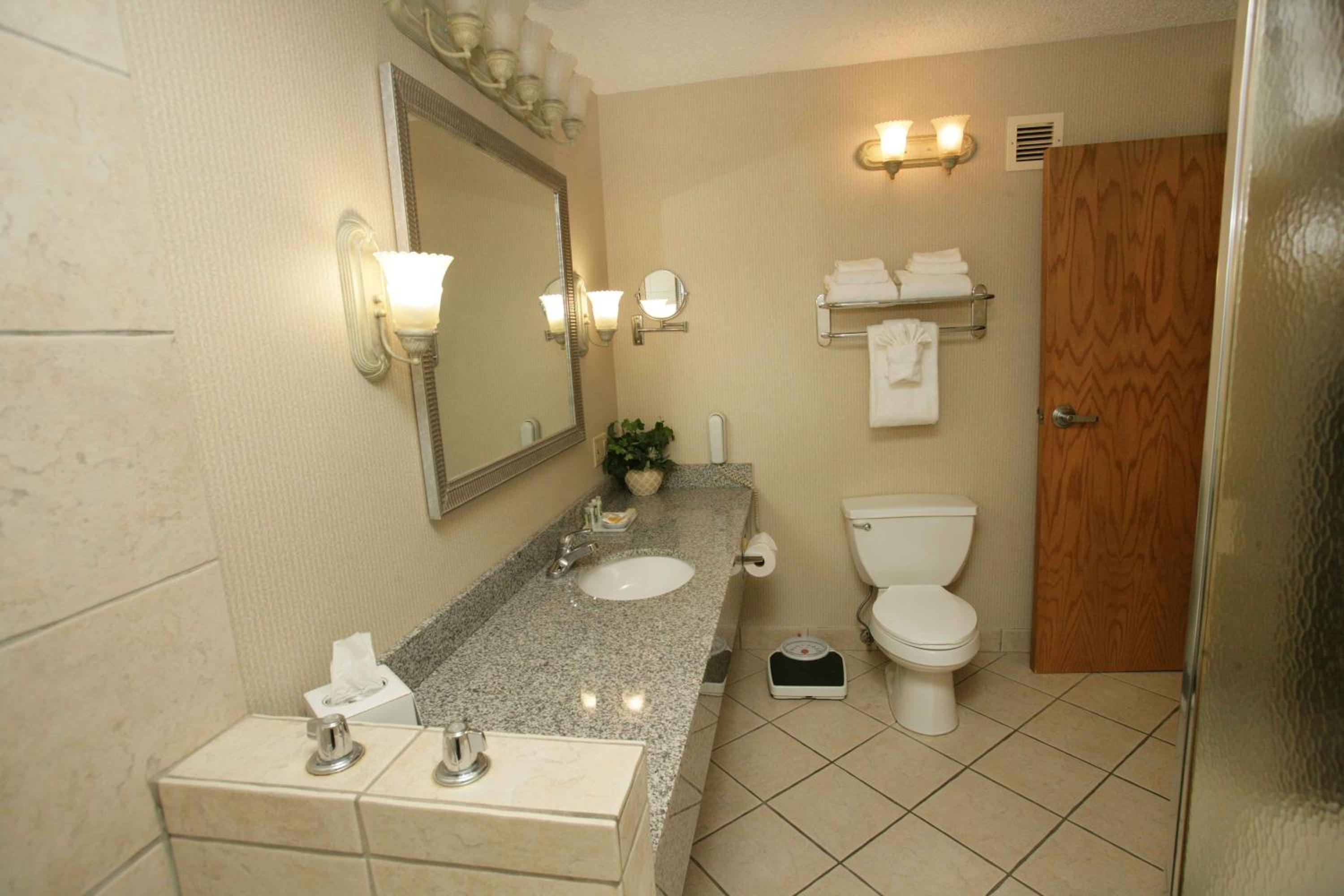 Riverton Vacations - Holiday Inn Riverton-Convention Center, an IHG Hotel - Property Image 4