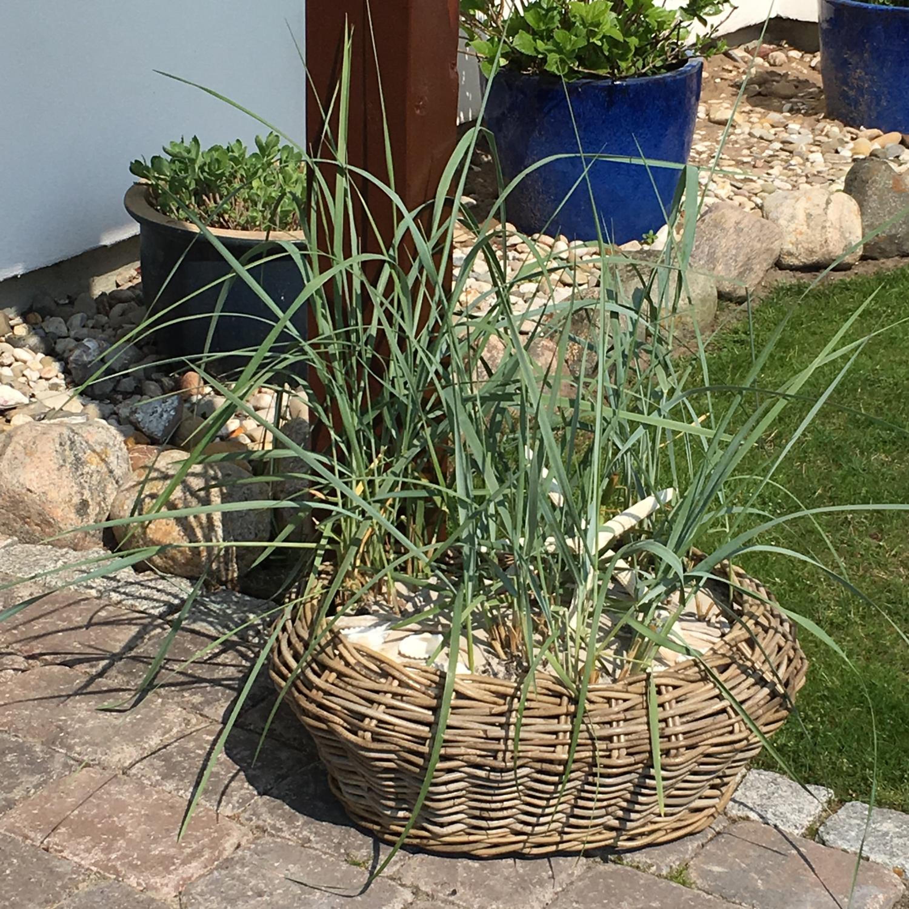 Photo 19