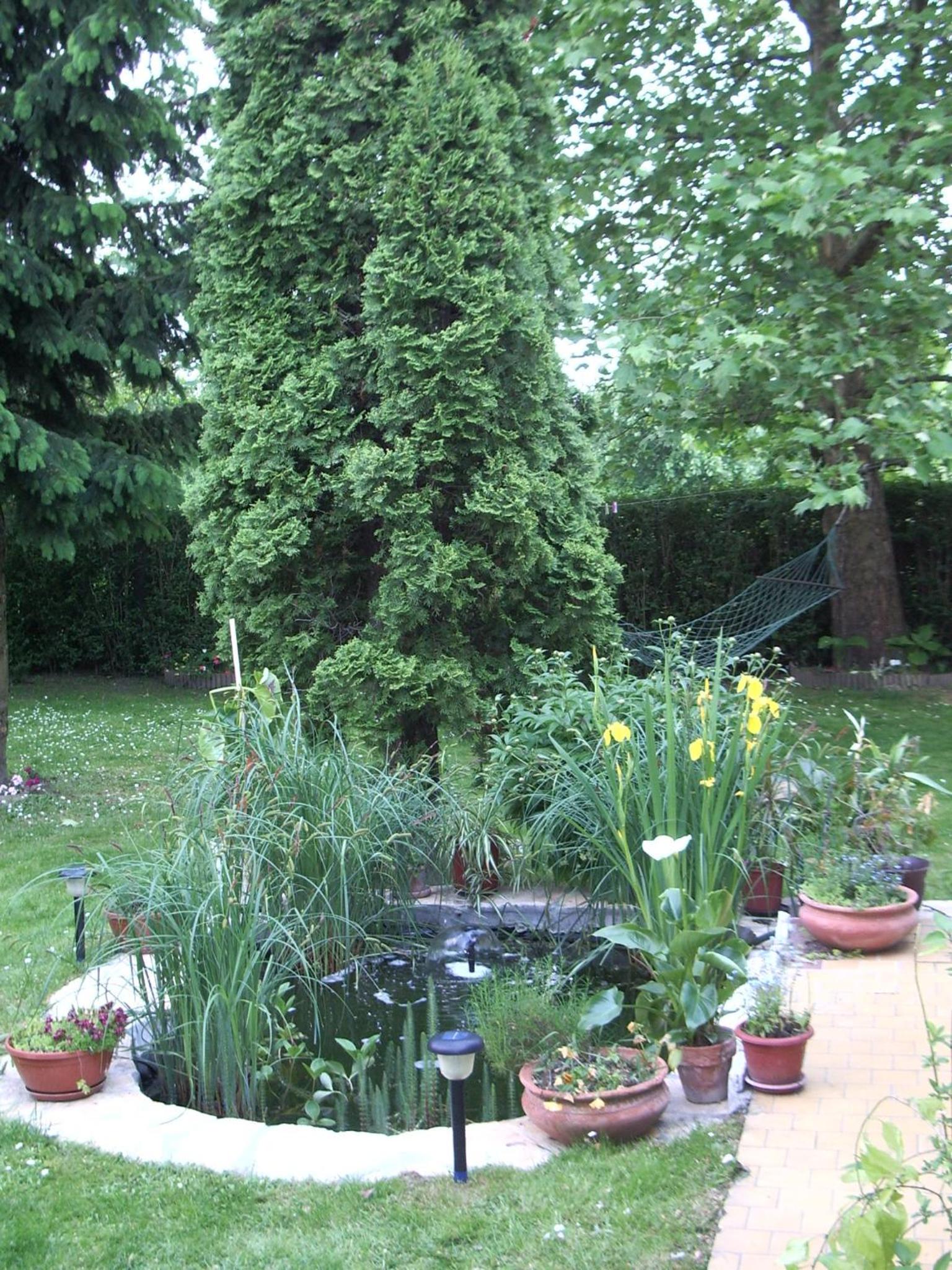 Photo 11