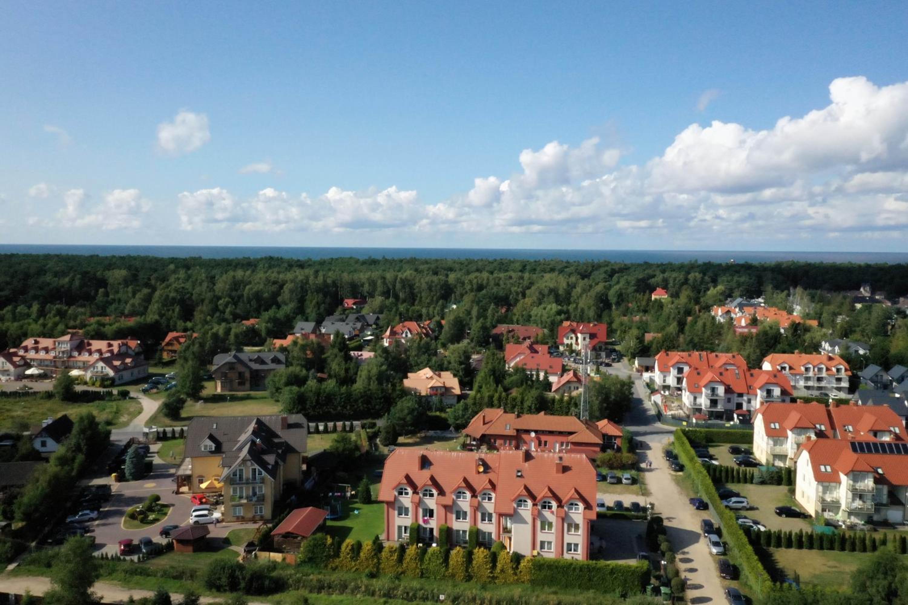 Rybitwa Dębki view 2