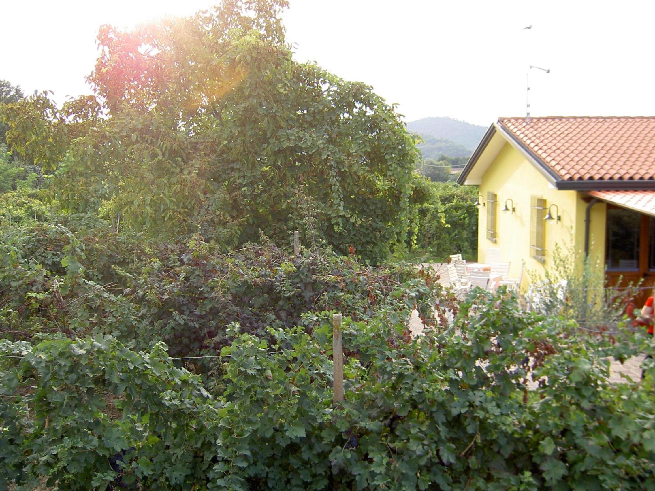 Agriturismo Monteortone photo 4