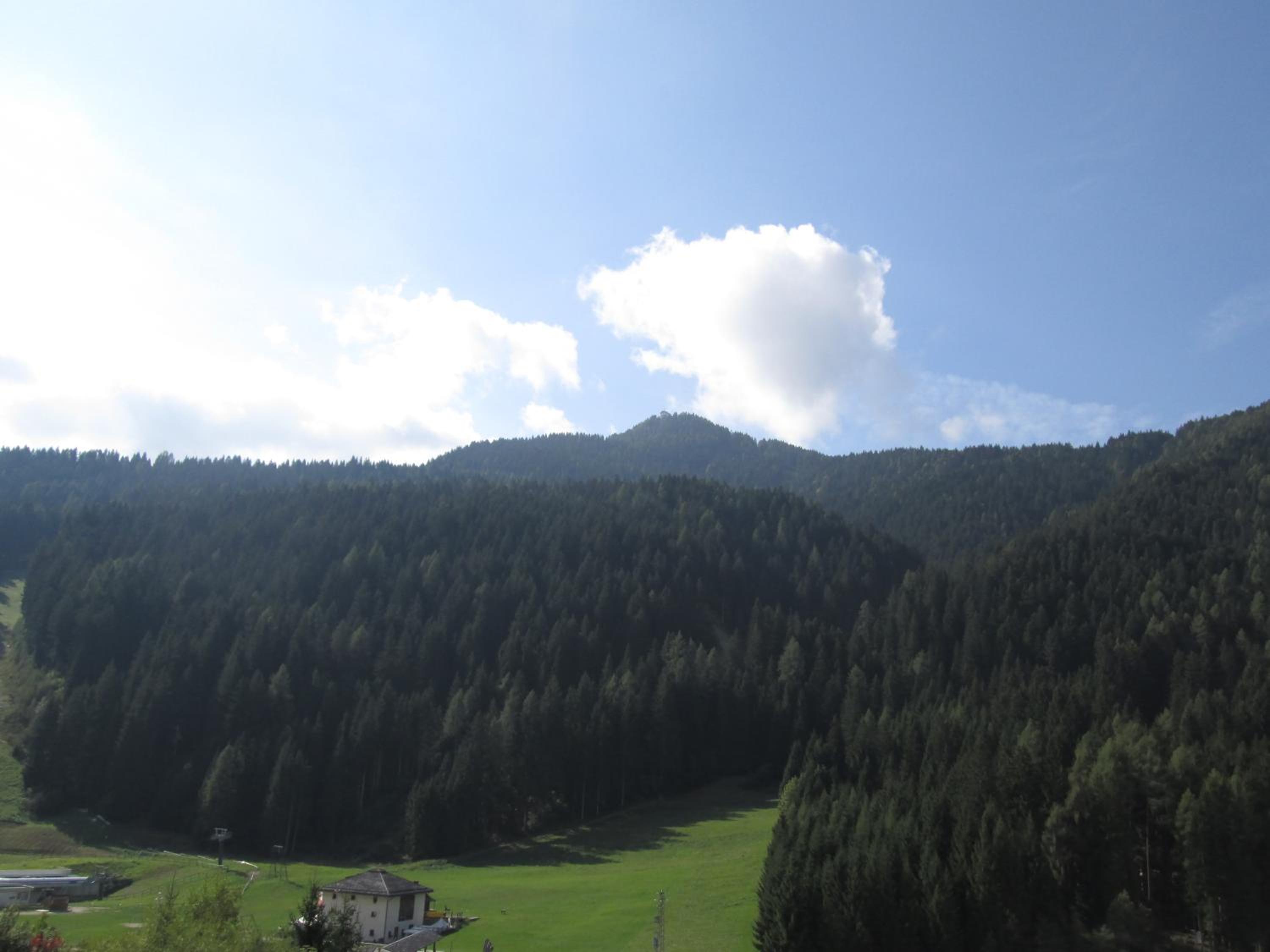 Photo 24