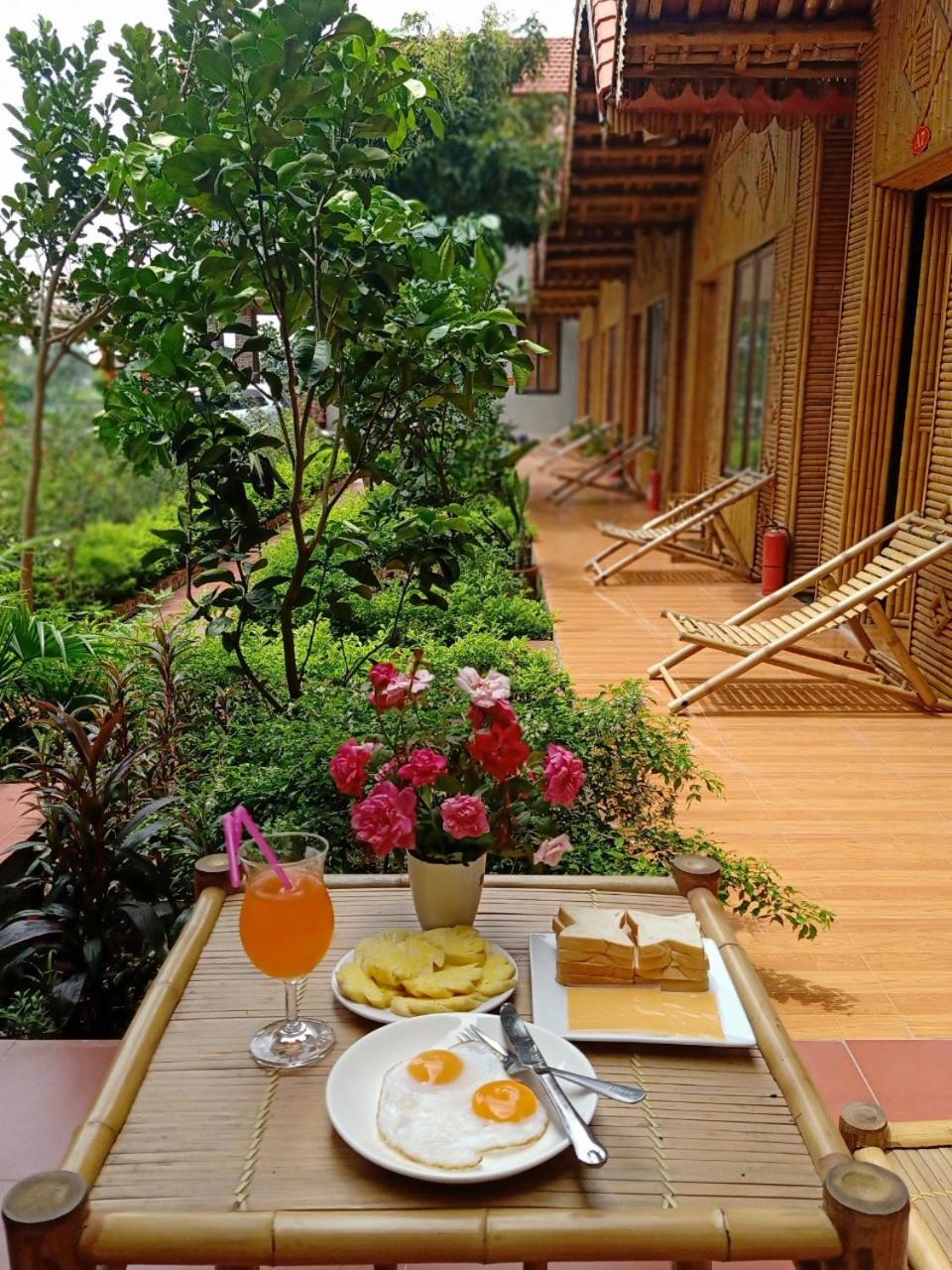 Tam Coc Eco Field Nest By ANMS GROUP