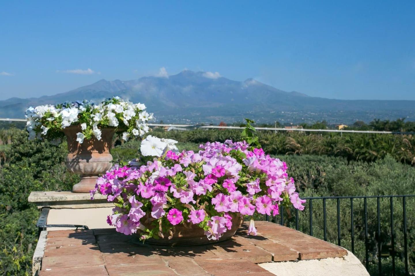 Villa Praiola - Exclusive seafacing mansion with pool and Jacuzzi view 5