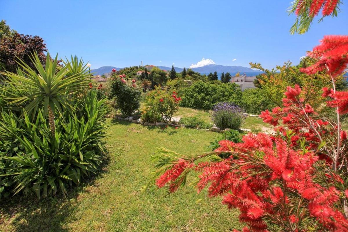 Apartments Palmero view 5