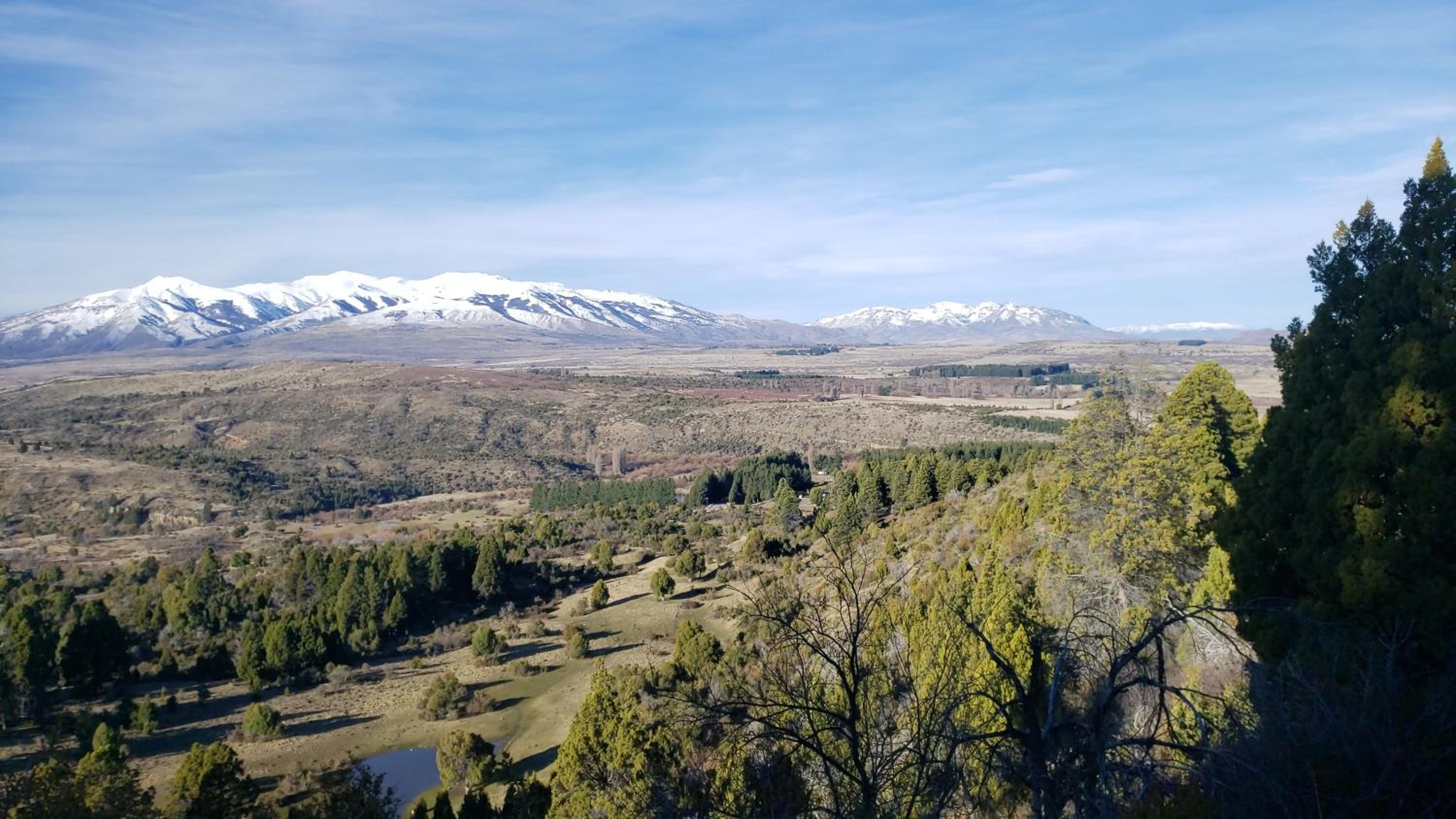 Altos Del Molino