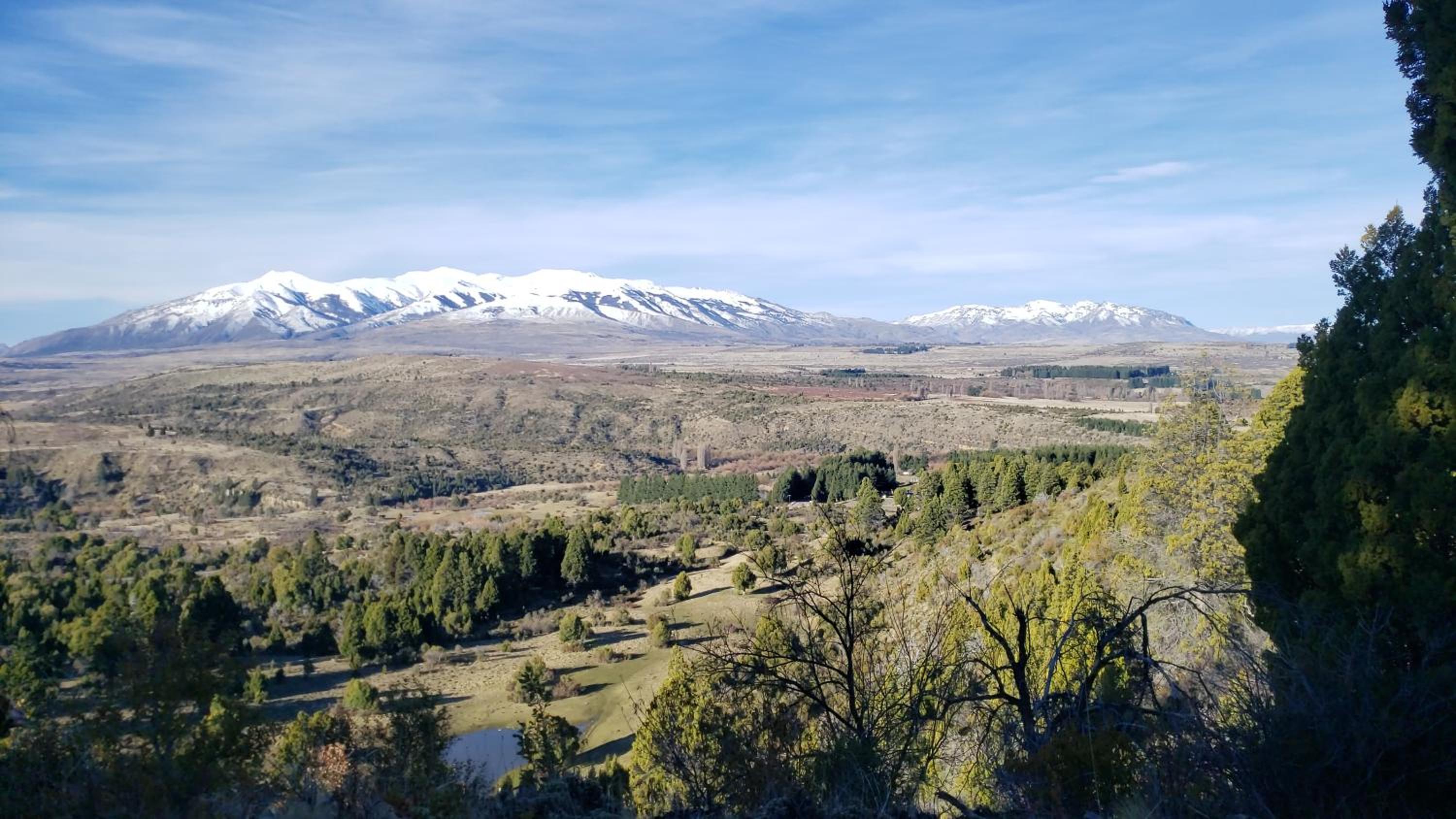Altos Del Molino