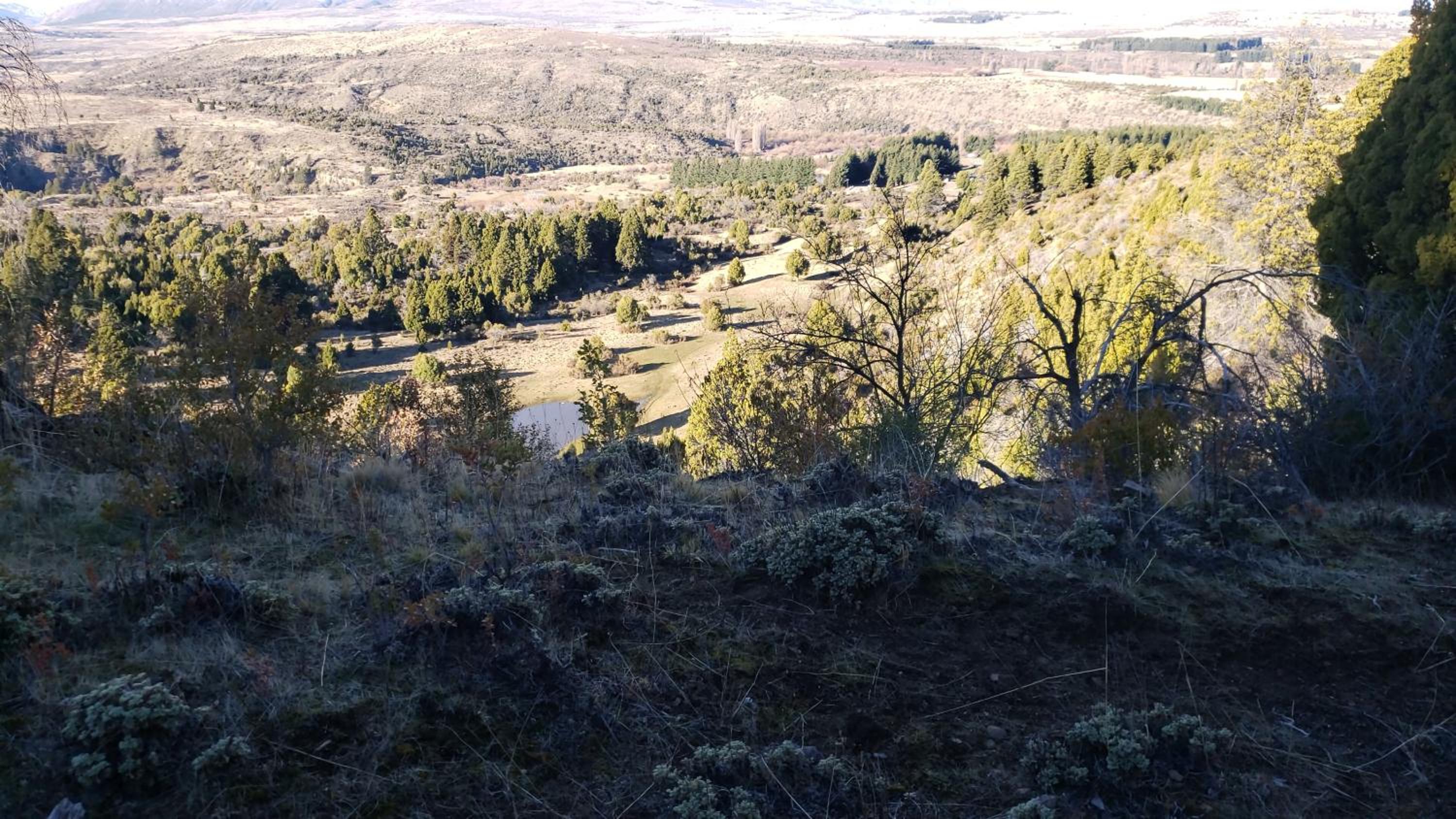 Altos Del Molino