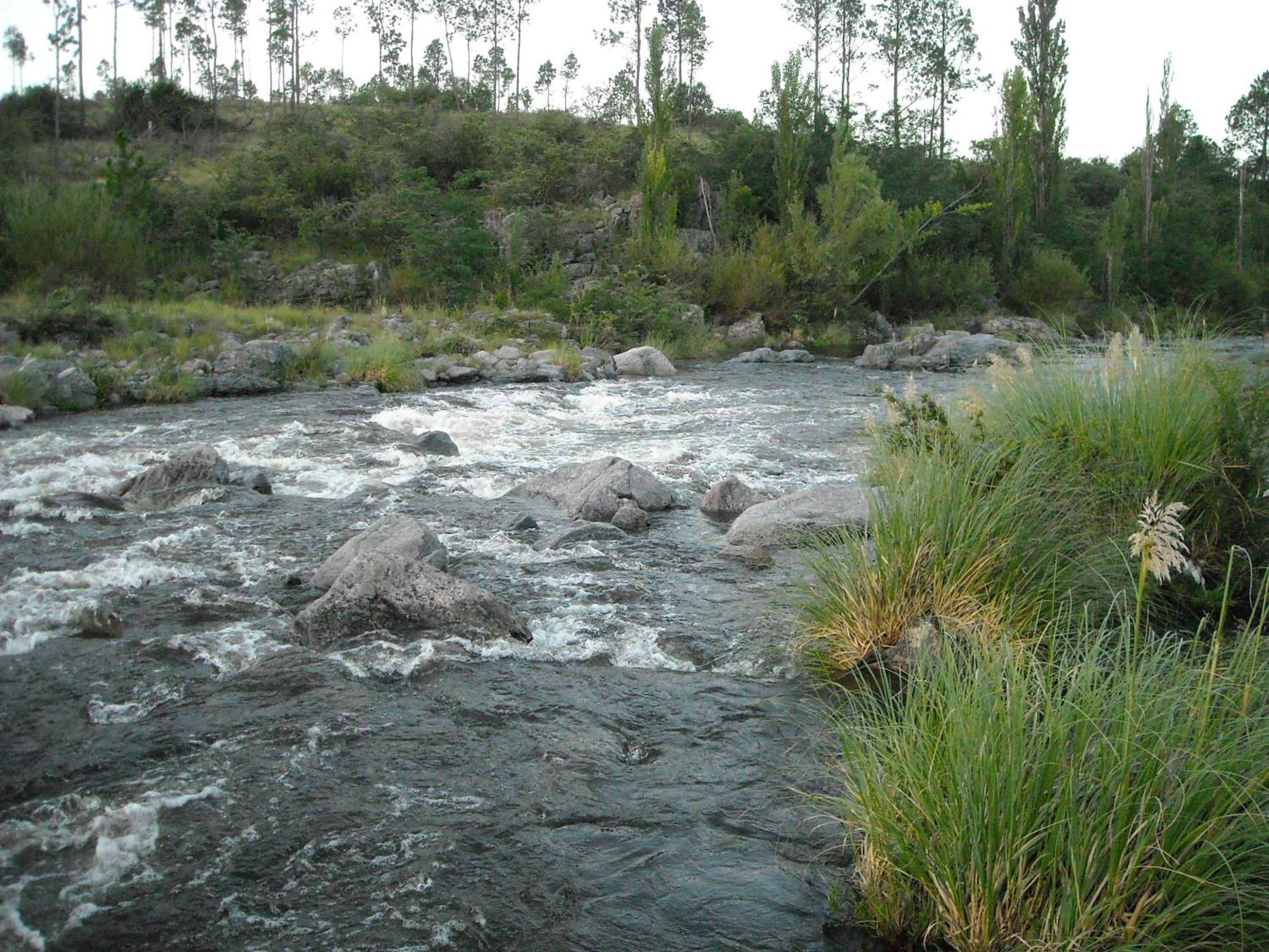 Cabañas Ecos del Rio
