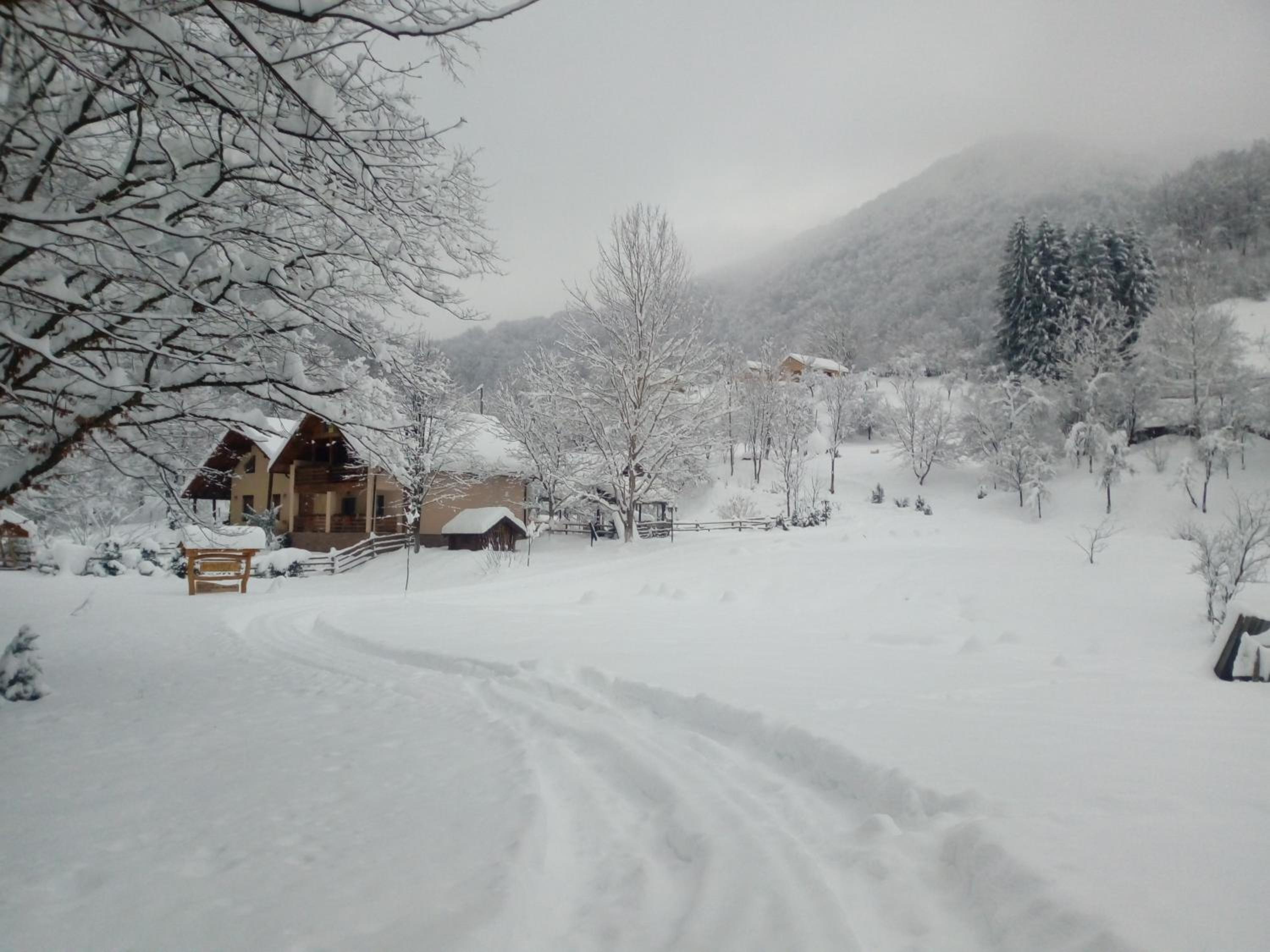Photo 11