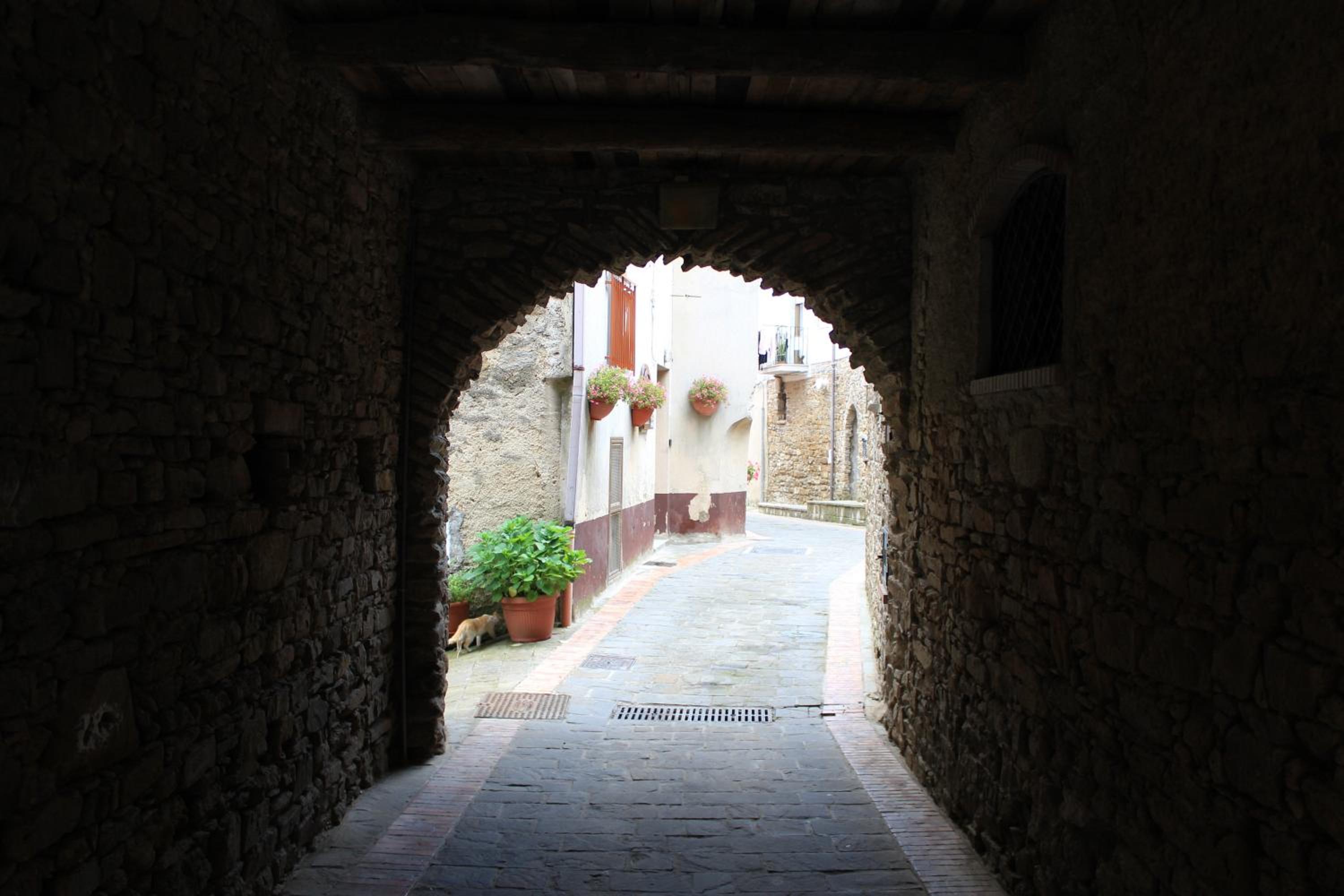 Photo 25