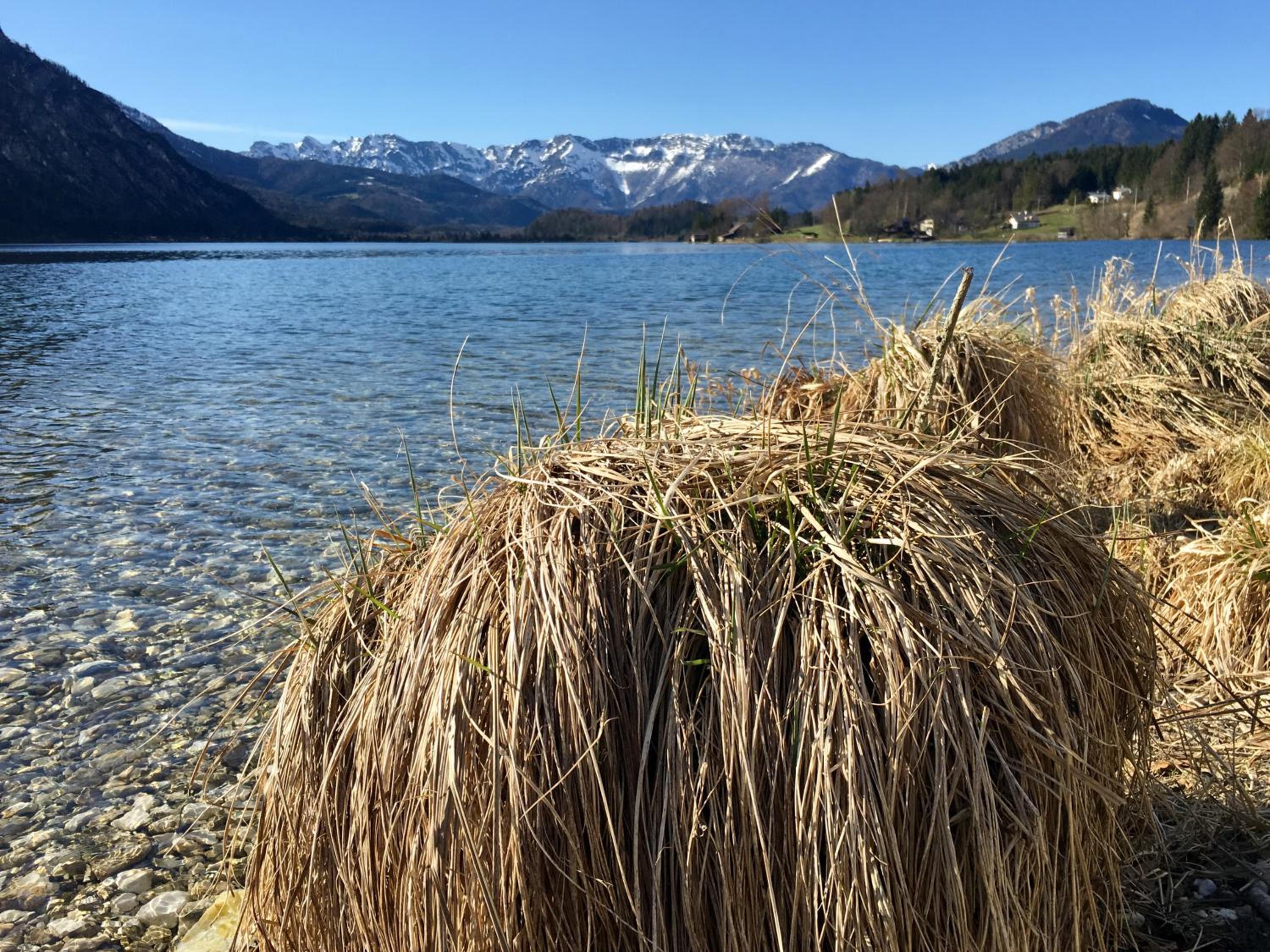Landhaus Hallstättersee